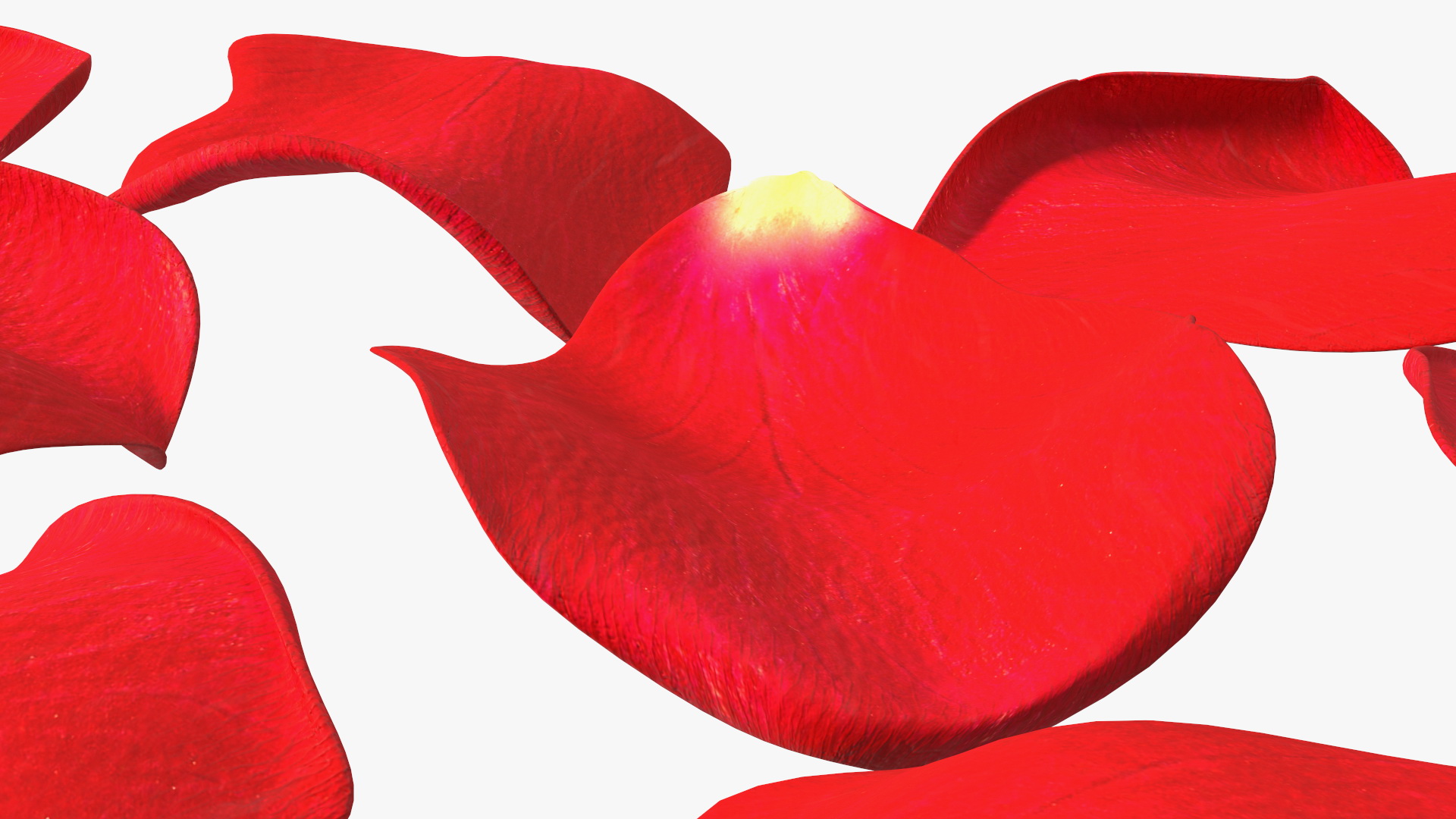 3D model Rose Petals Red