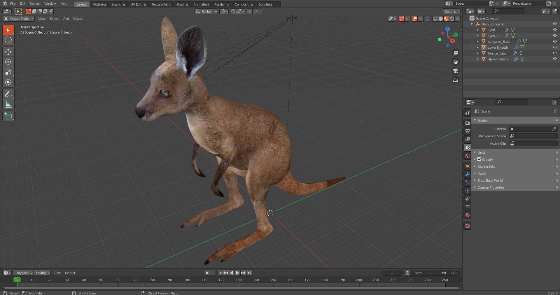 3D Baby Kangaroo model