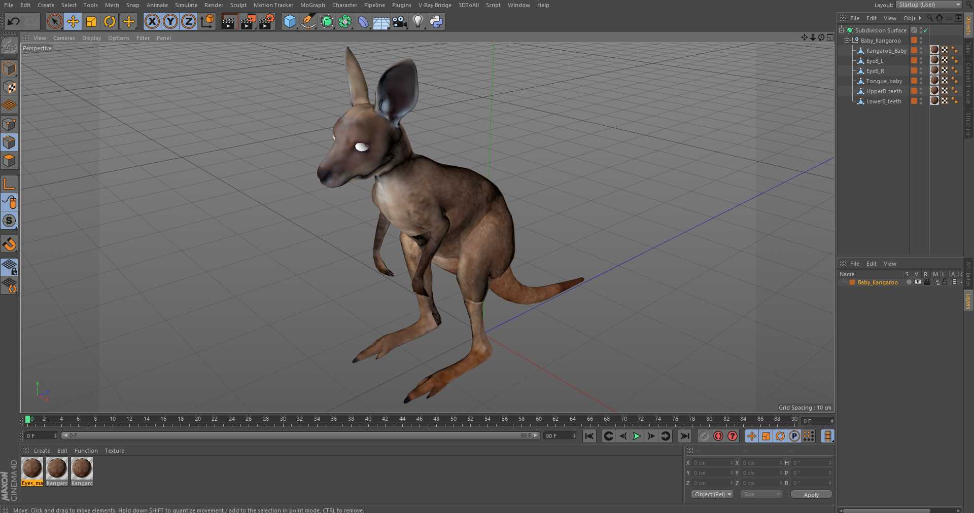 3D Baby Kangaroo model