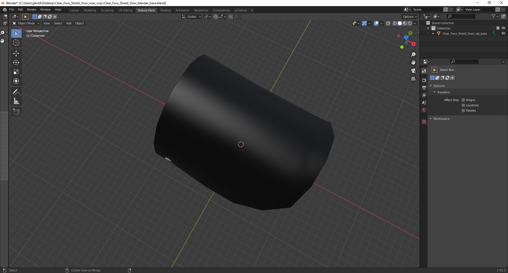 3D Clear Face Shield Visor model