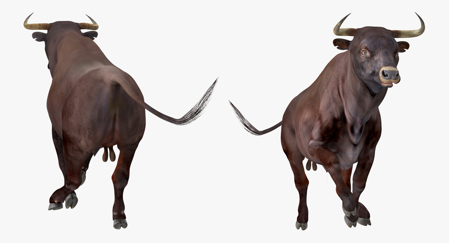 3D Bull Rigged