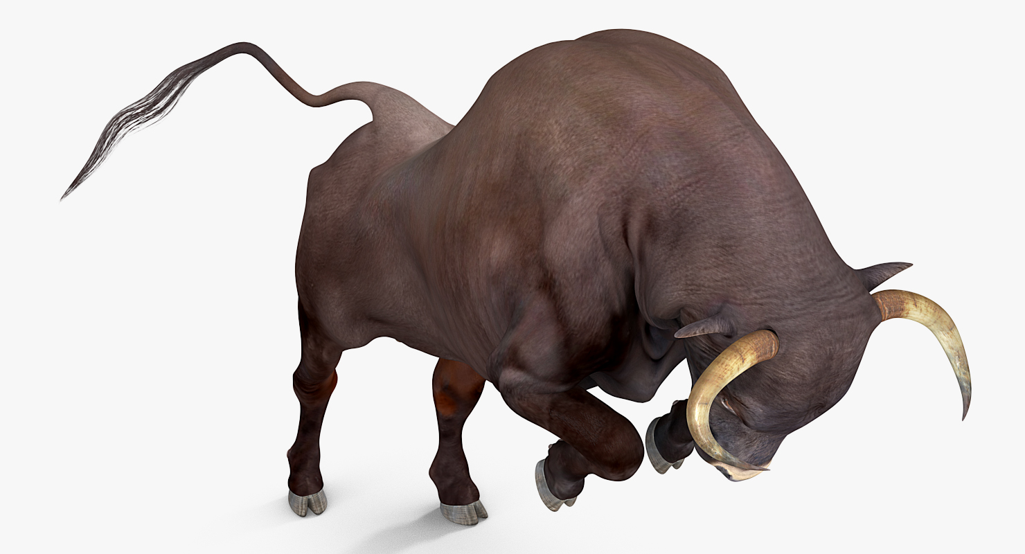3D Bull Rigged