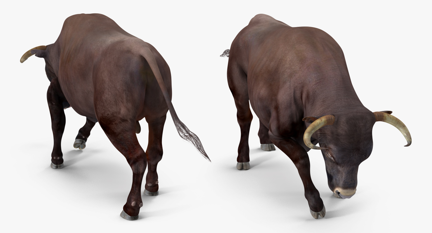 3D Bull Rigged