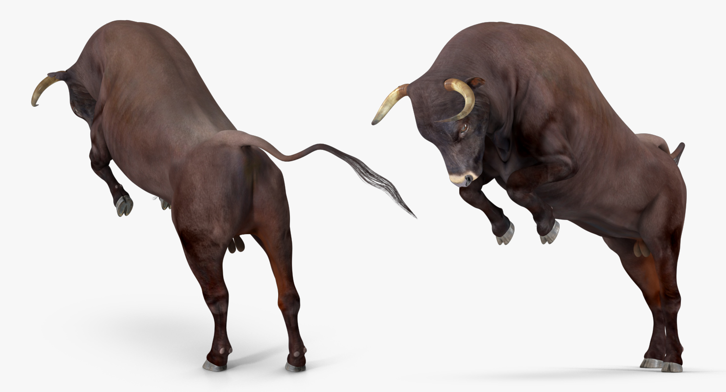 3D Bull Rigged