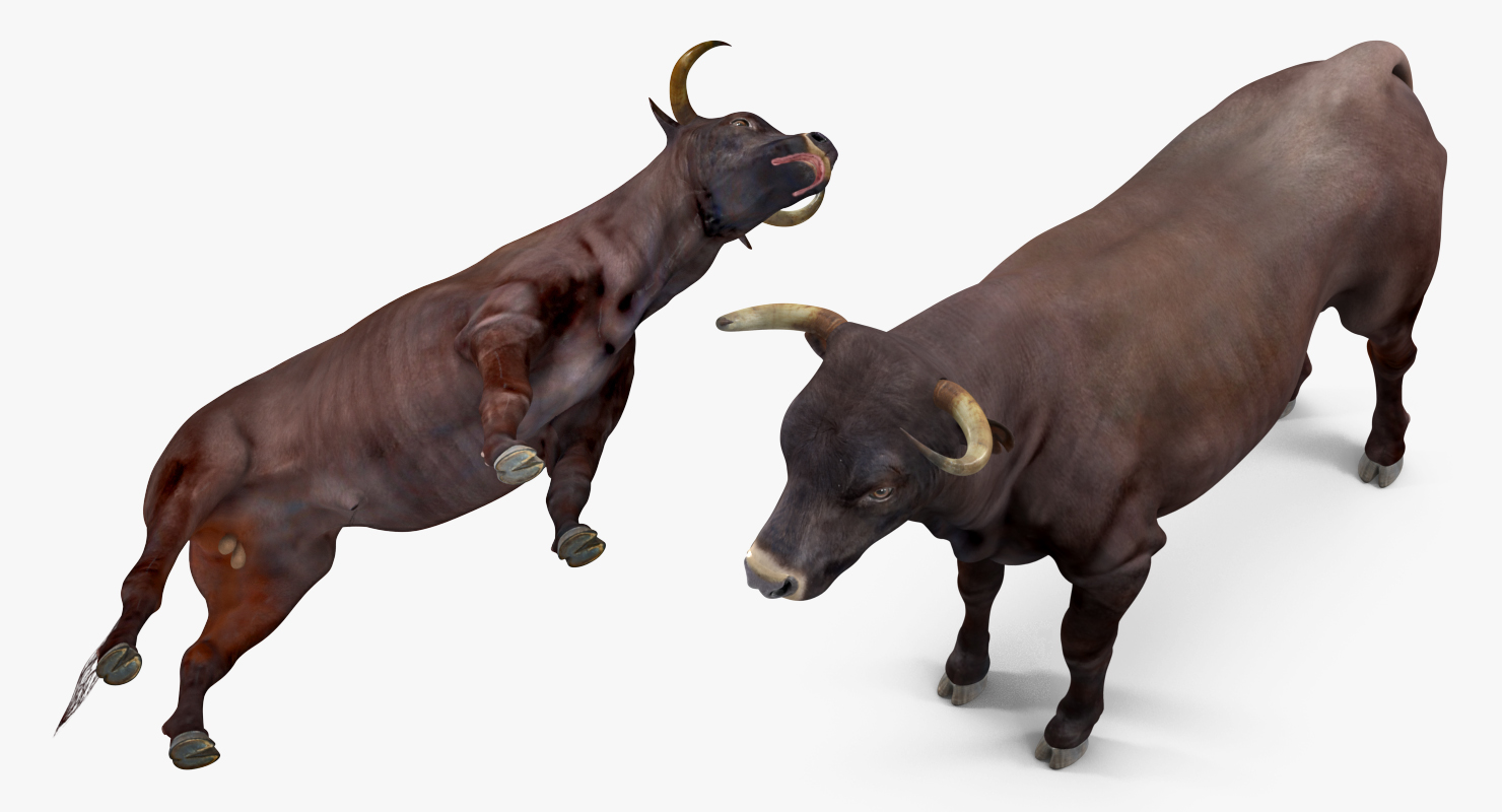 3D Bull Rigged