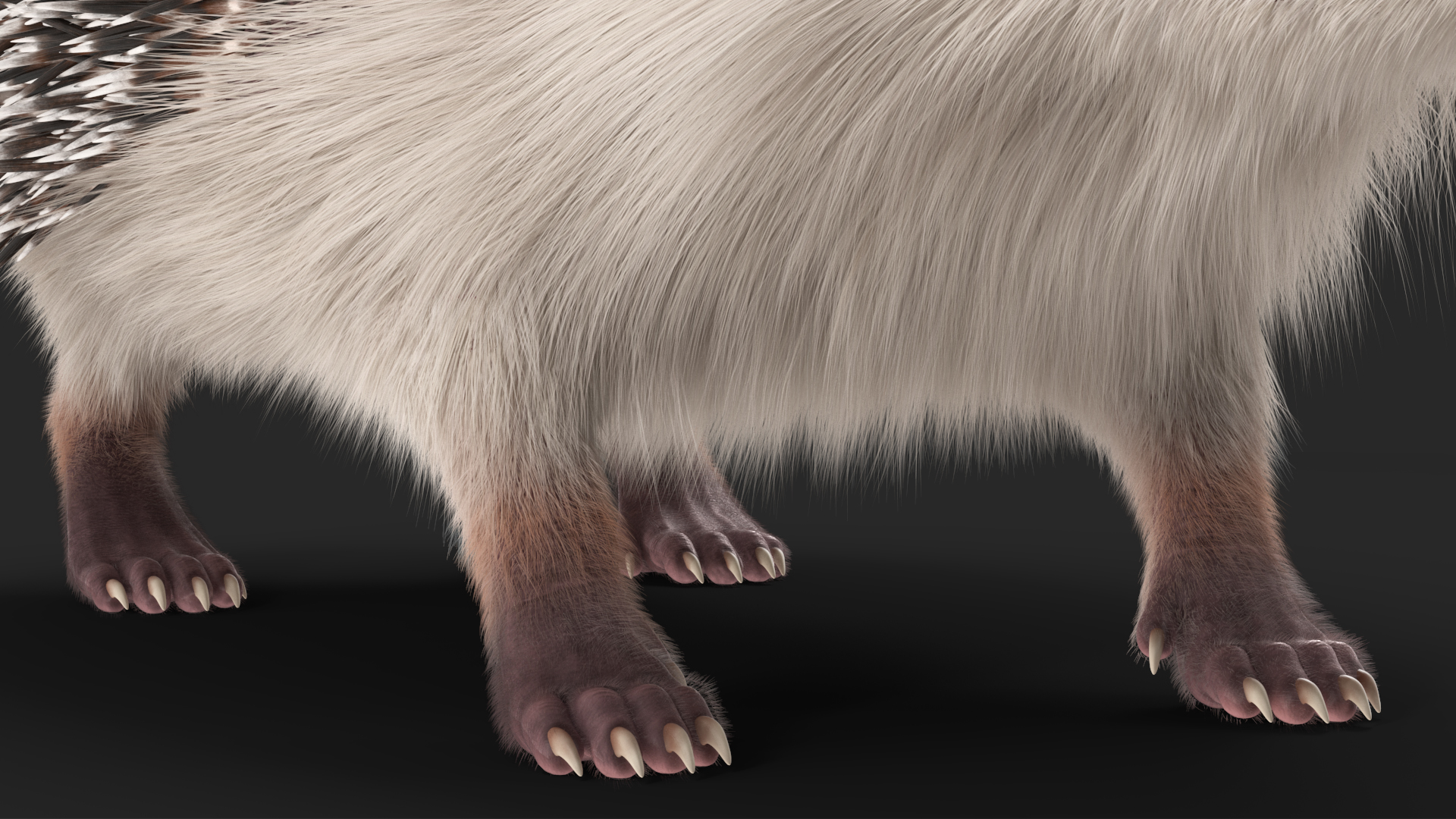 3D White Hedgehog Fur model