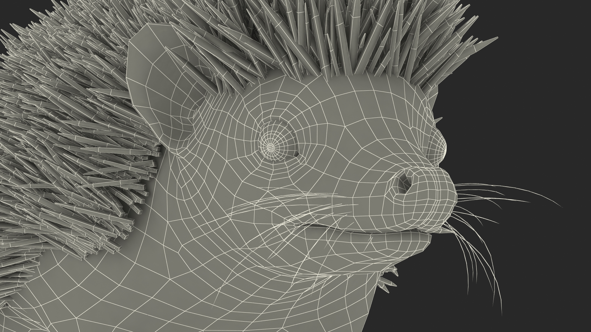 3D White Hedgehog Fur model