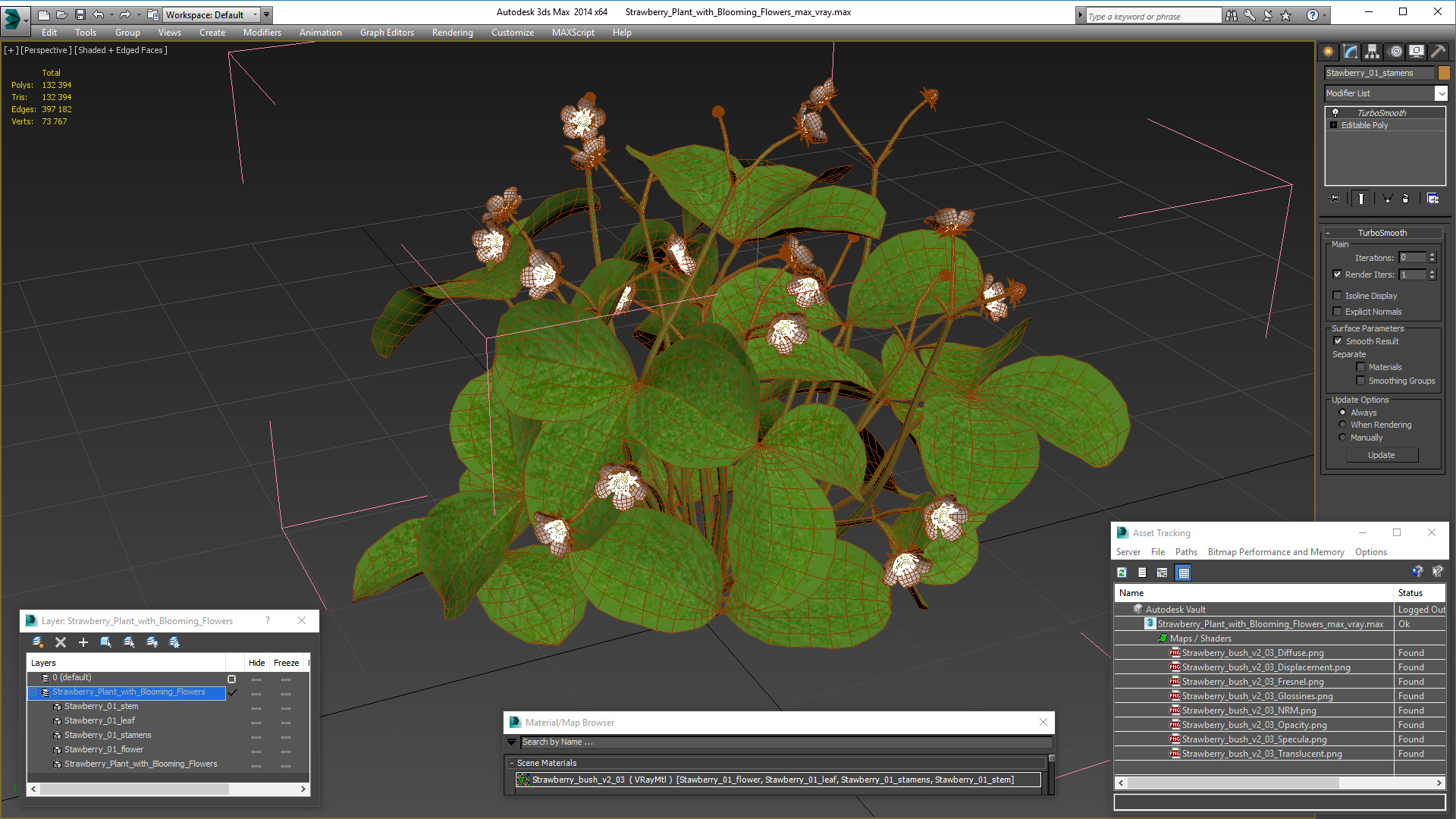 3D Strawberry Plant with Blooming Flowers model