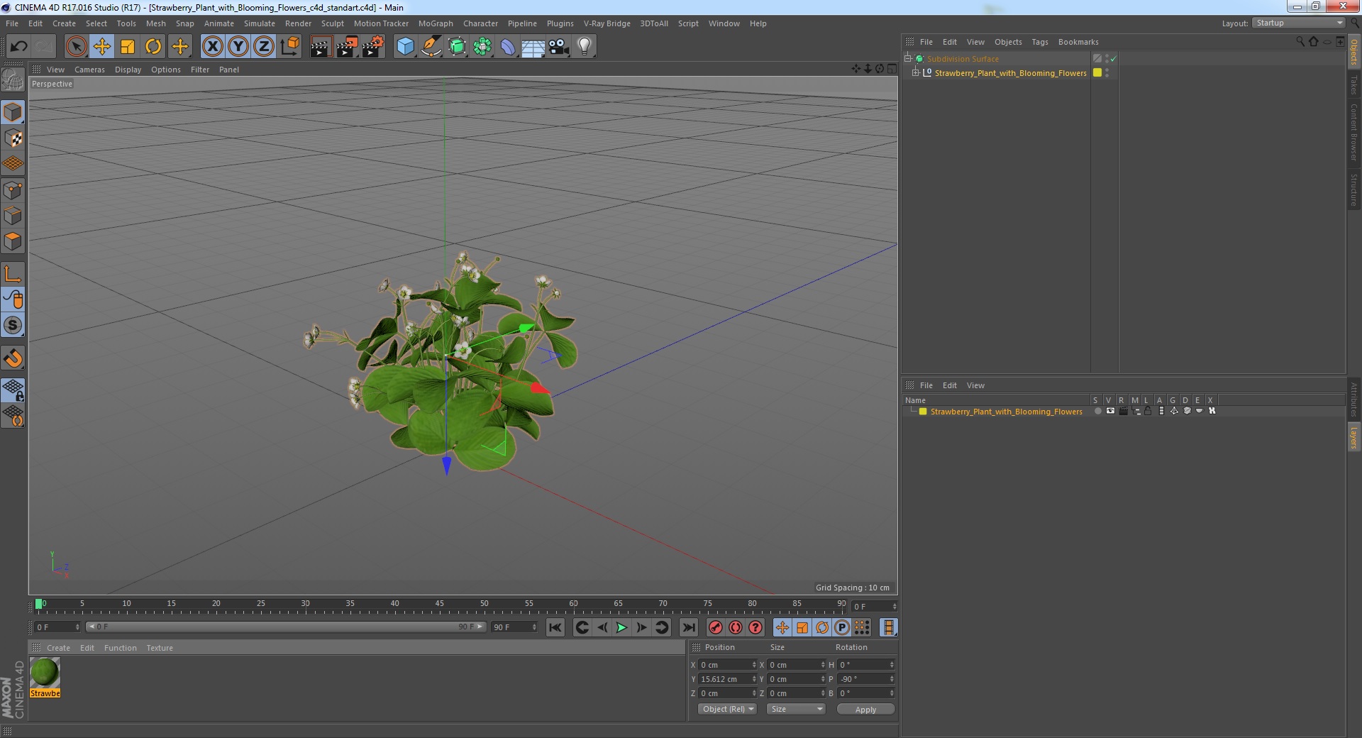 3D Strawberry Plant with Blooming Flowers model