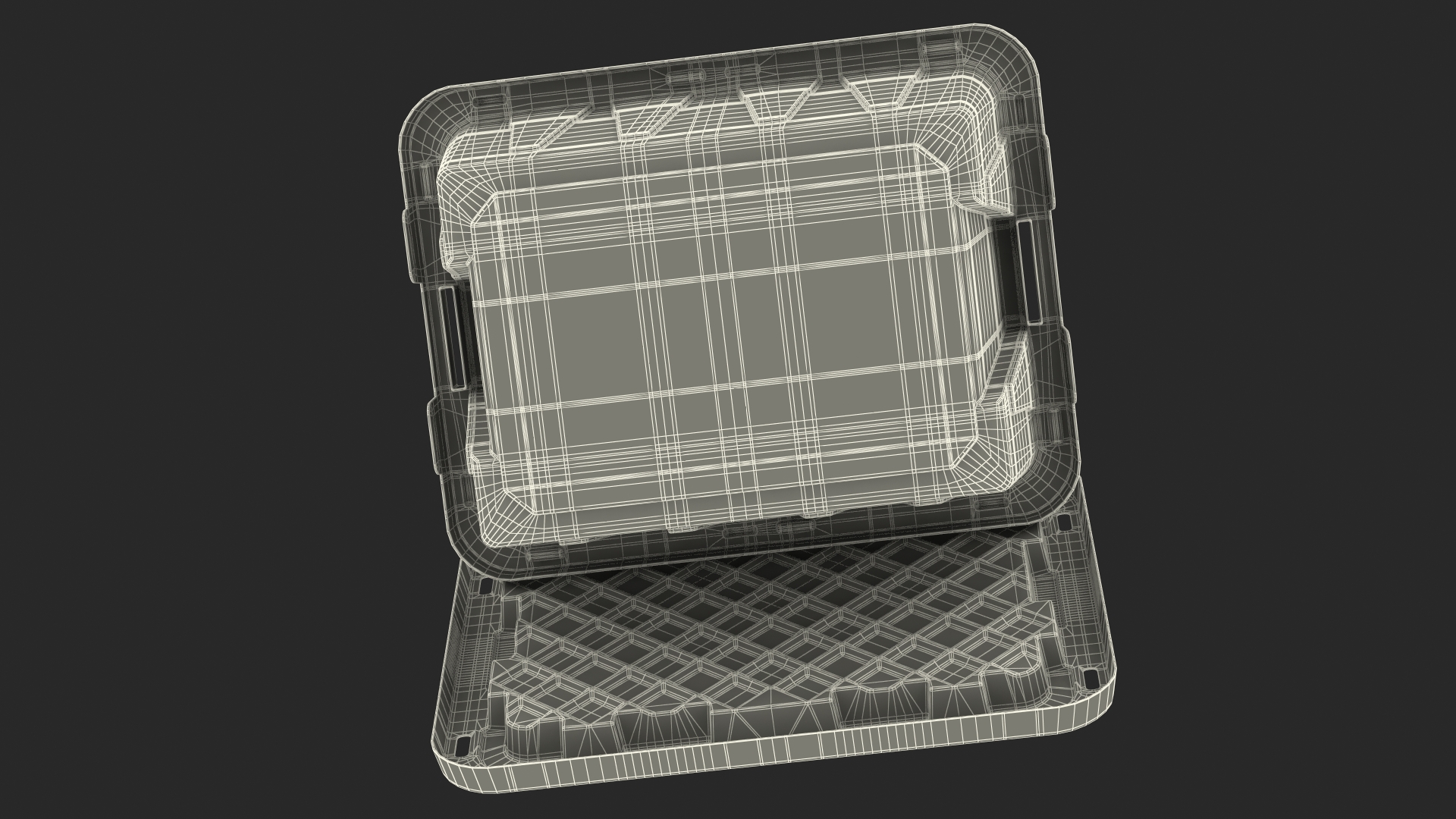 Storage Plastic Container with Lid 3D model