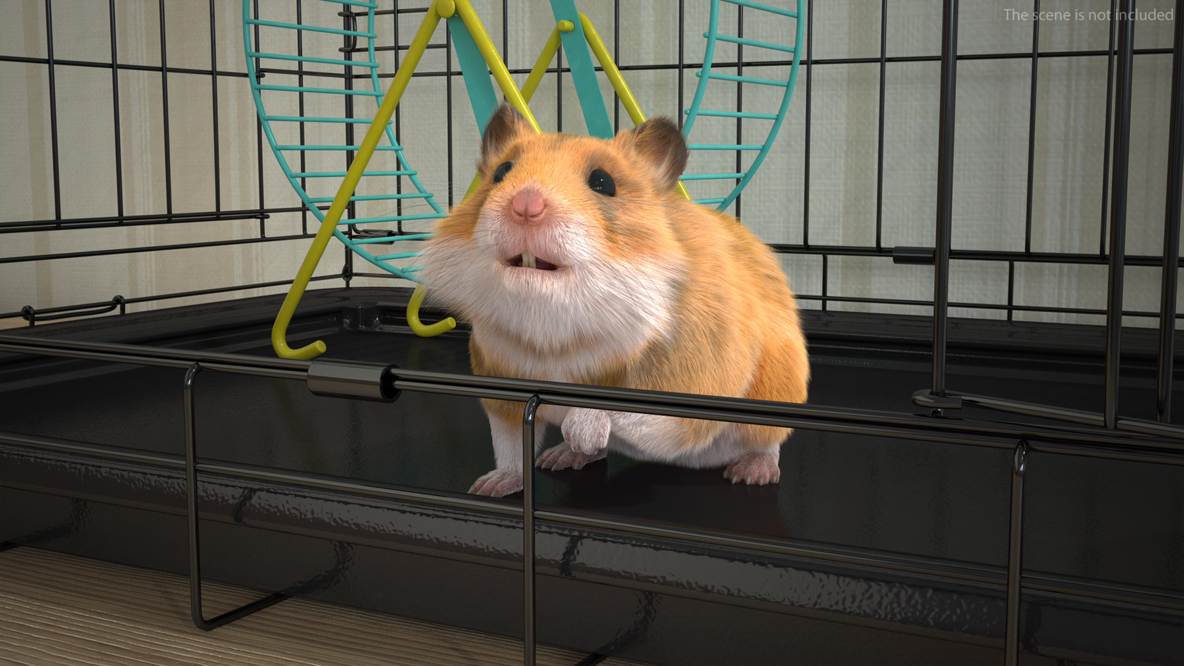 Short Haired Golden Hamster 3D