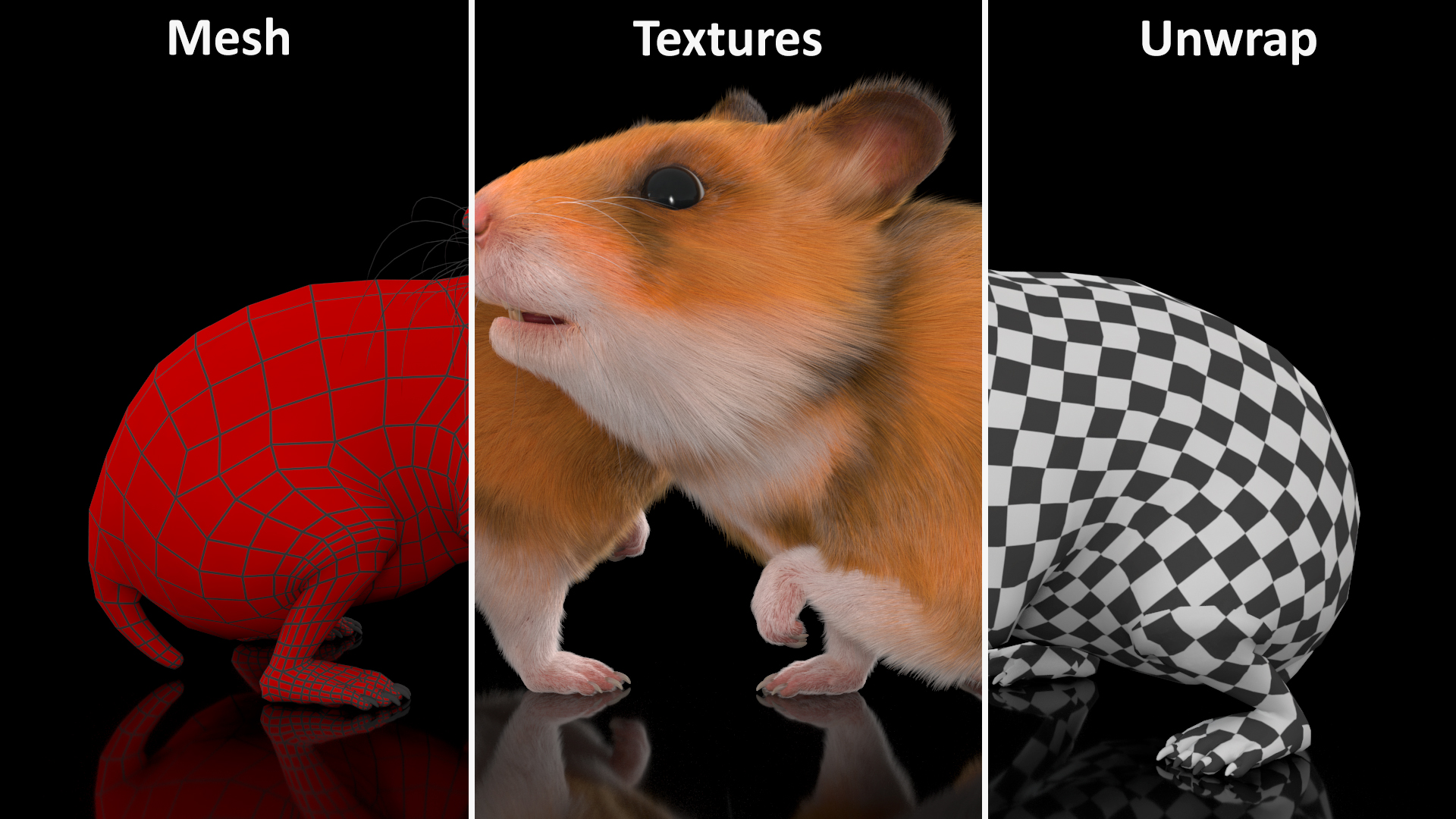 Short Haired Golden Hamster 3D