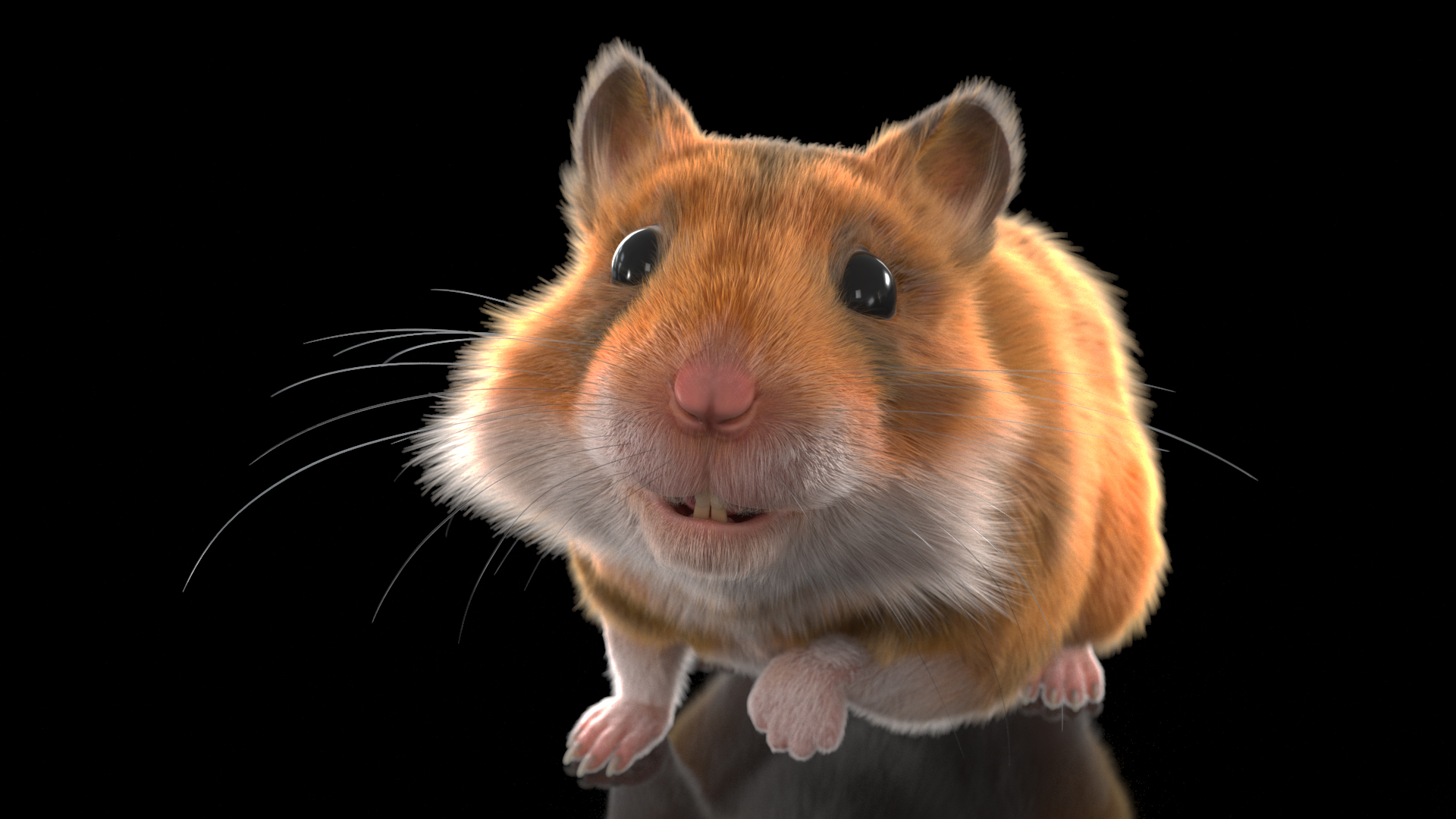 Short Haired Golden Hamster 3D