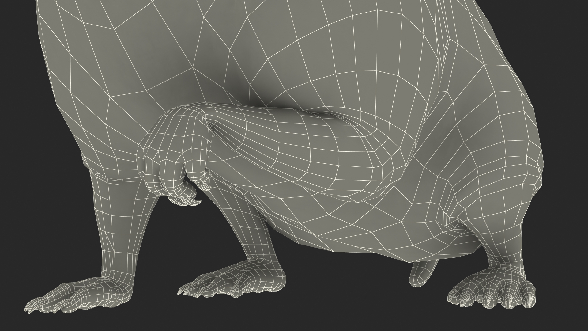 Short Haired Golden Hamster 3D