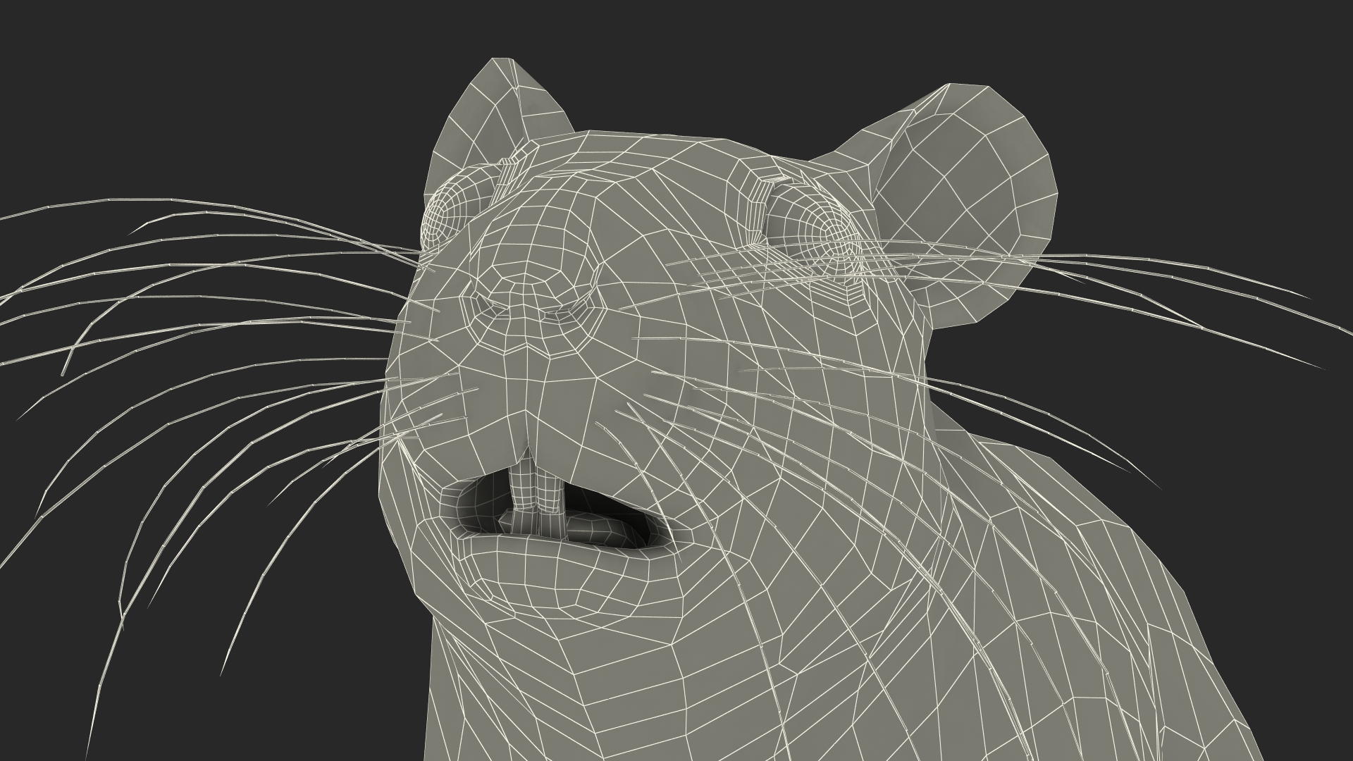 Short Haired Golden Hamster 3D