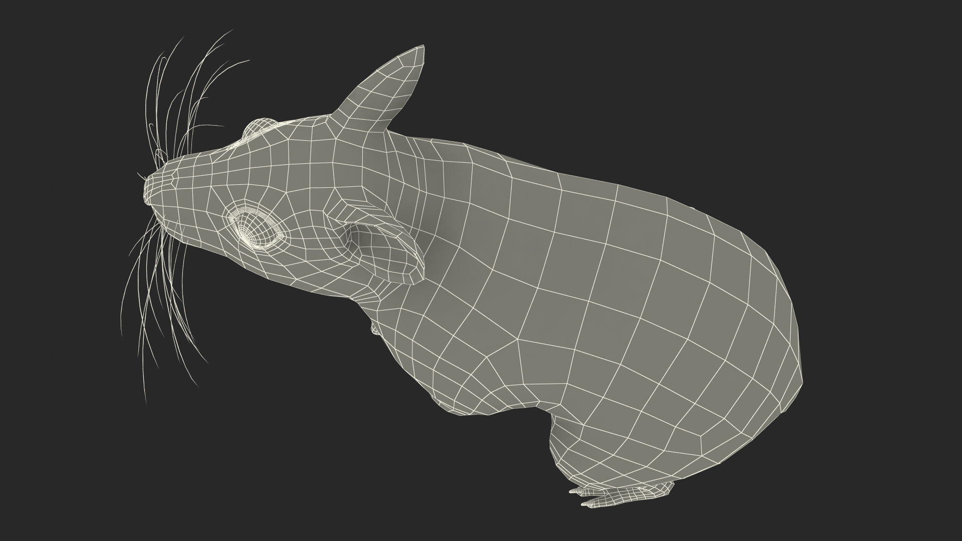 Short Haired Golden Hamster 3D