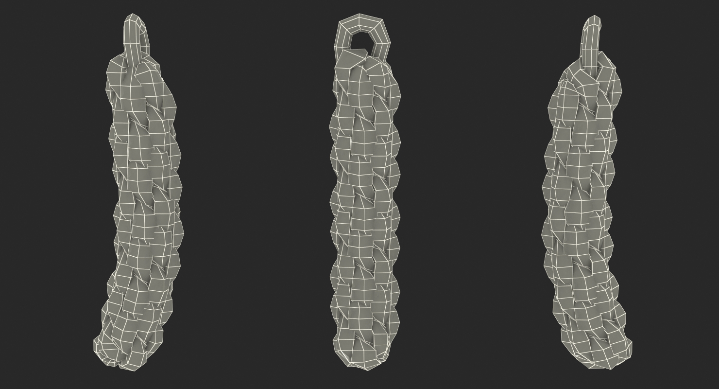 3D Piece of Rope model
