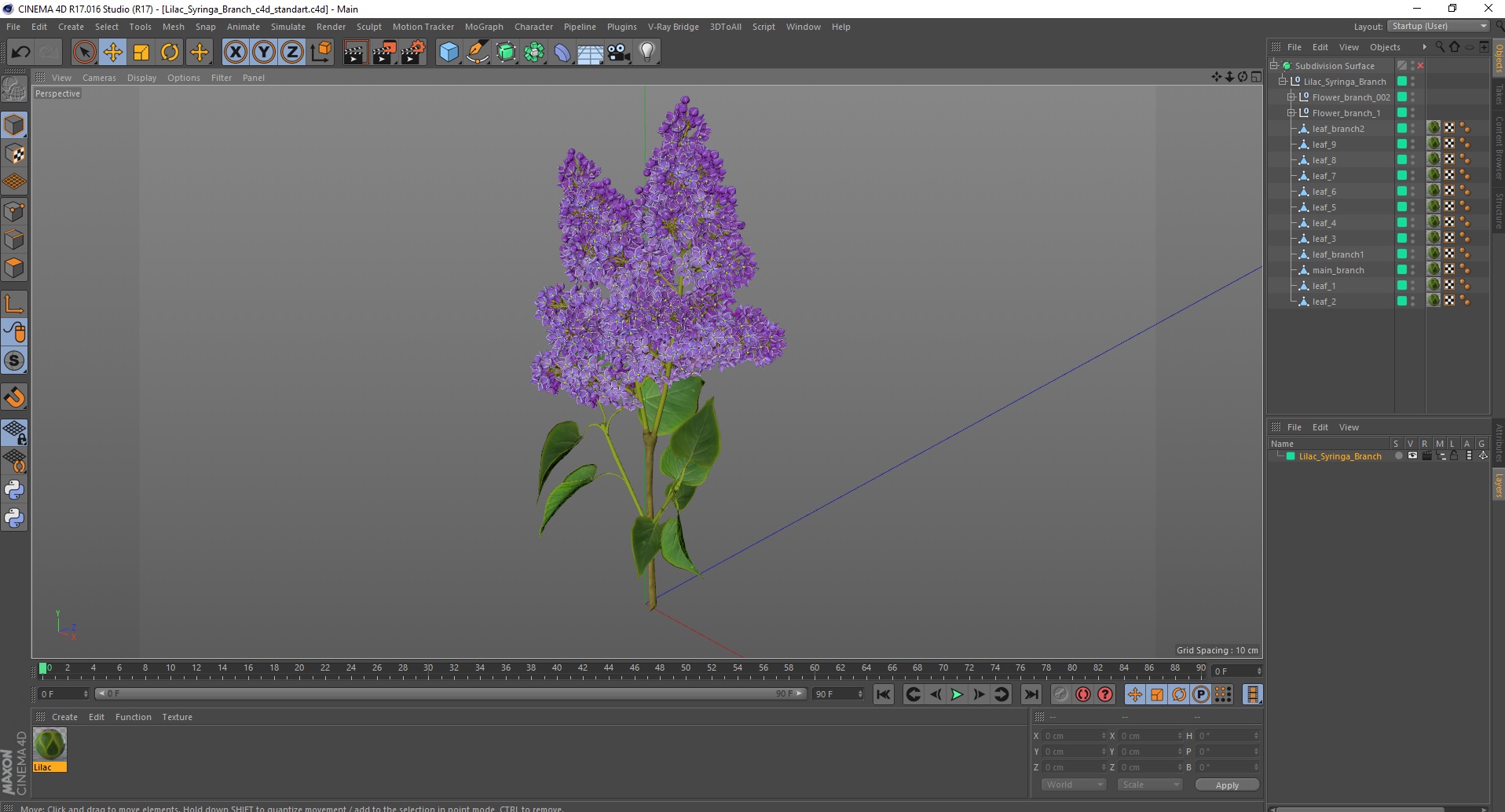 3D model Lilac Syringa Branch