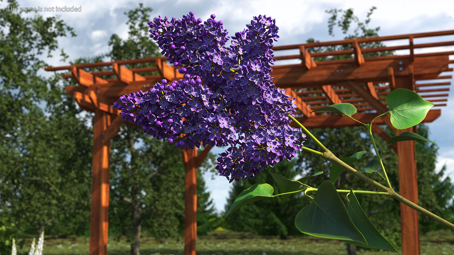 3D model Lilac Syringa Branch