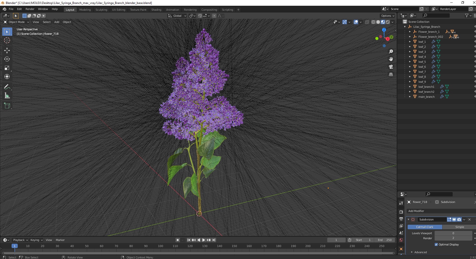 3D model Lilac Syringa Branch