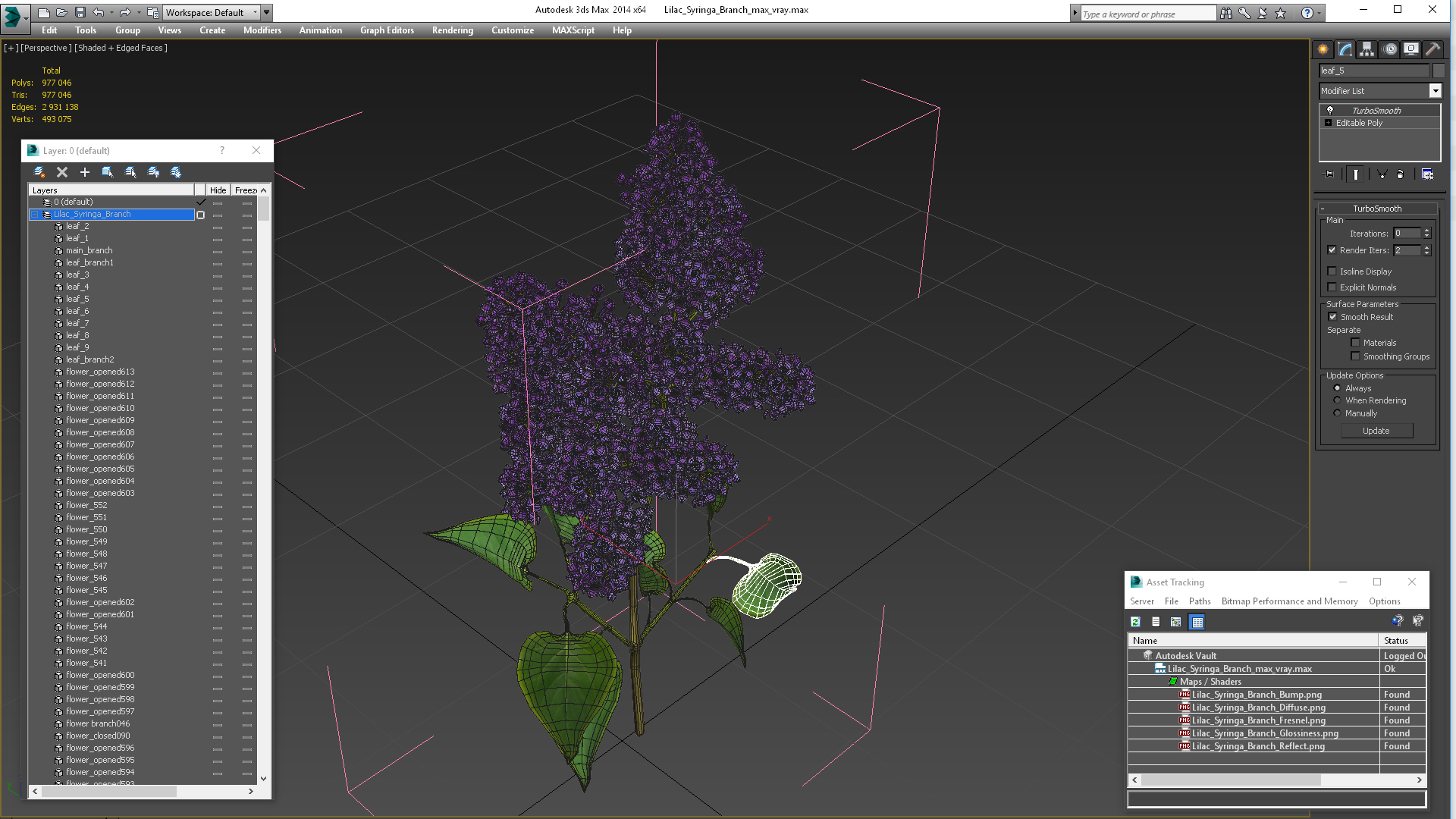 3D model Lilac Syringa Branch
