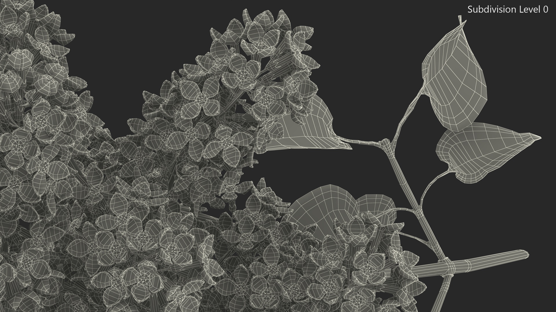 3D model Lilac Syringa Branch
