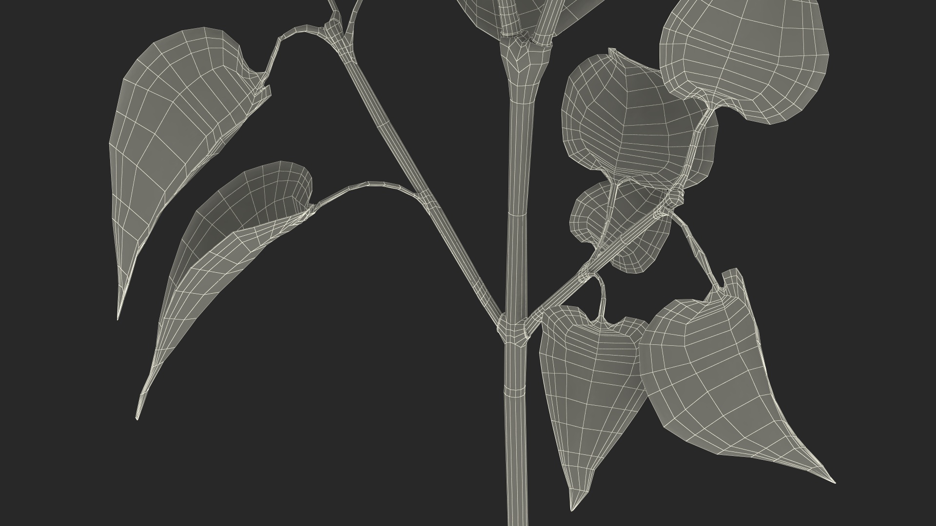 3D model Lilac Syringa Branch