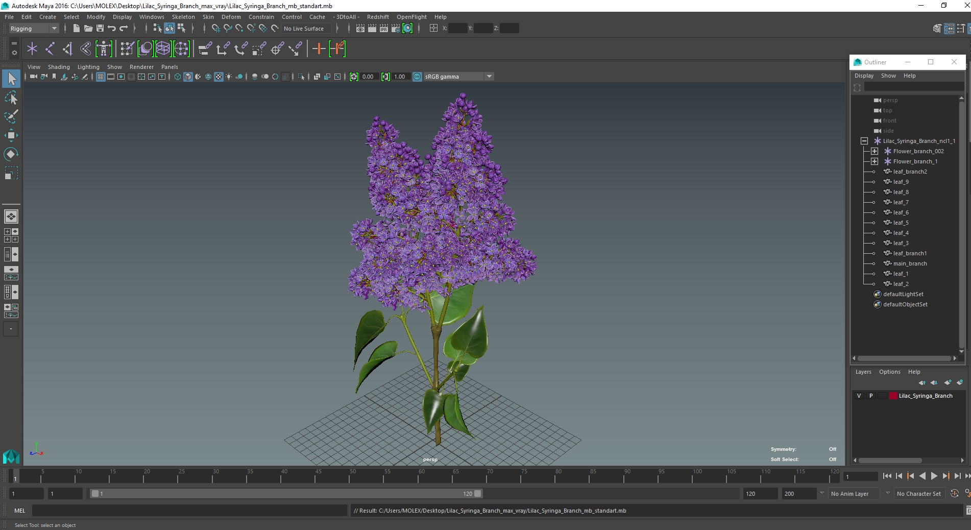 3D model Lilac Syringa Branch