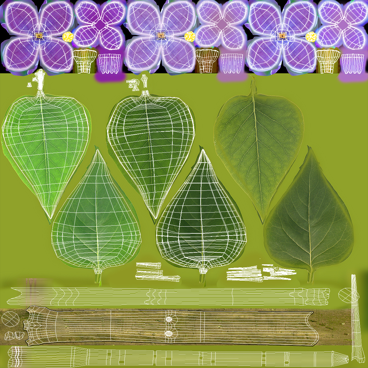 3D model Lilac Syringa Branch
