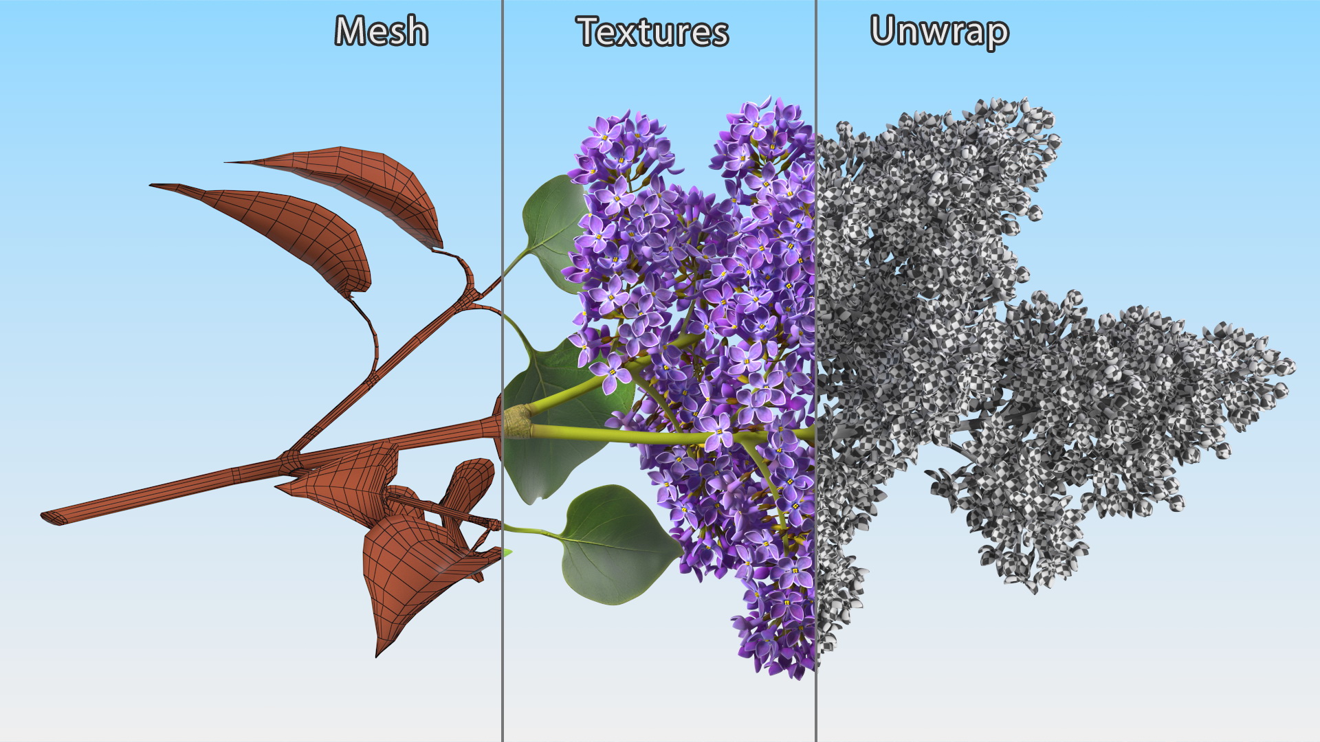 3D model Lilac Syringa Branch