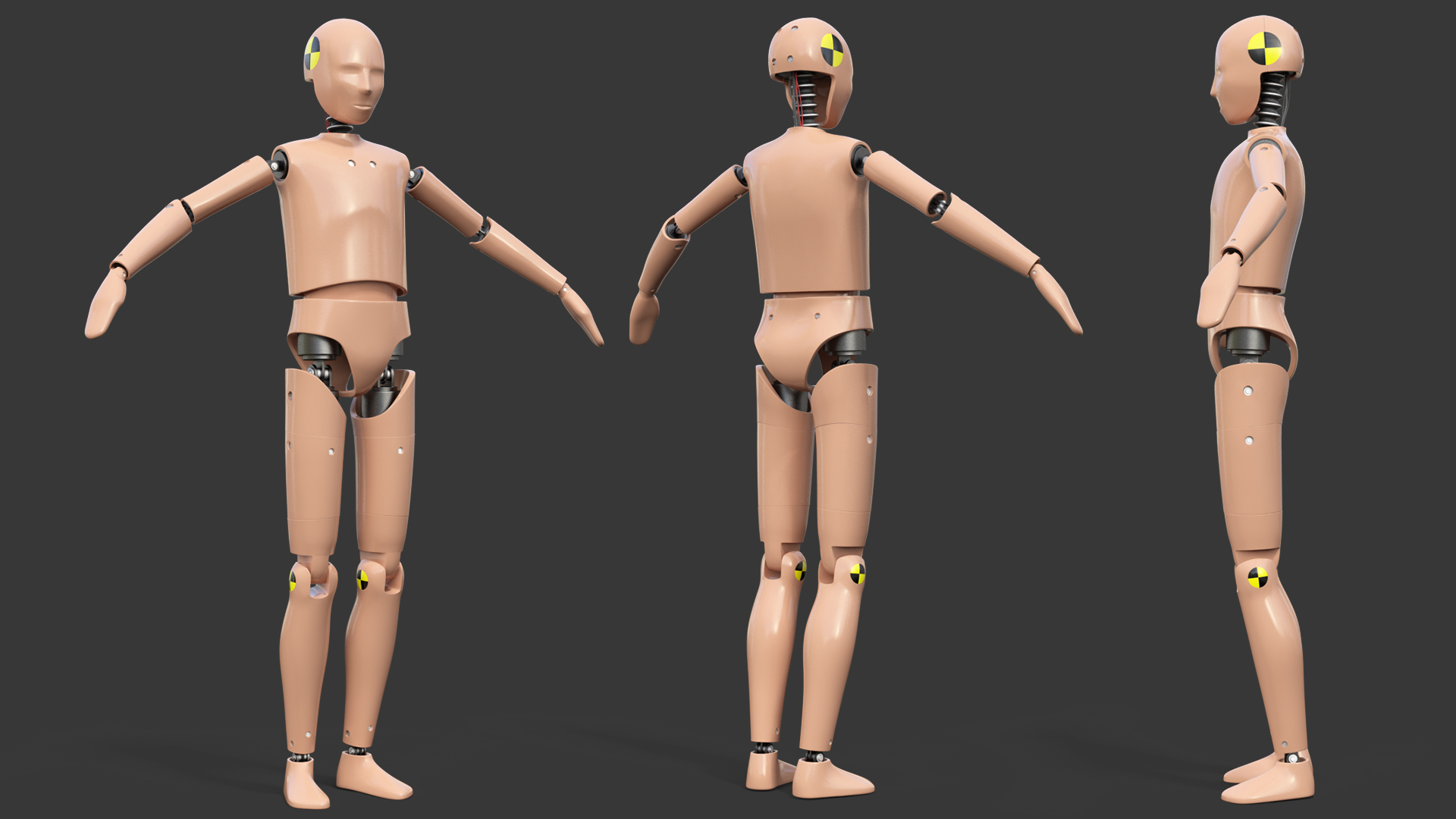 3D model Teenager Crash Test Dummy
