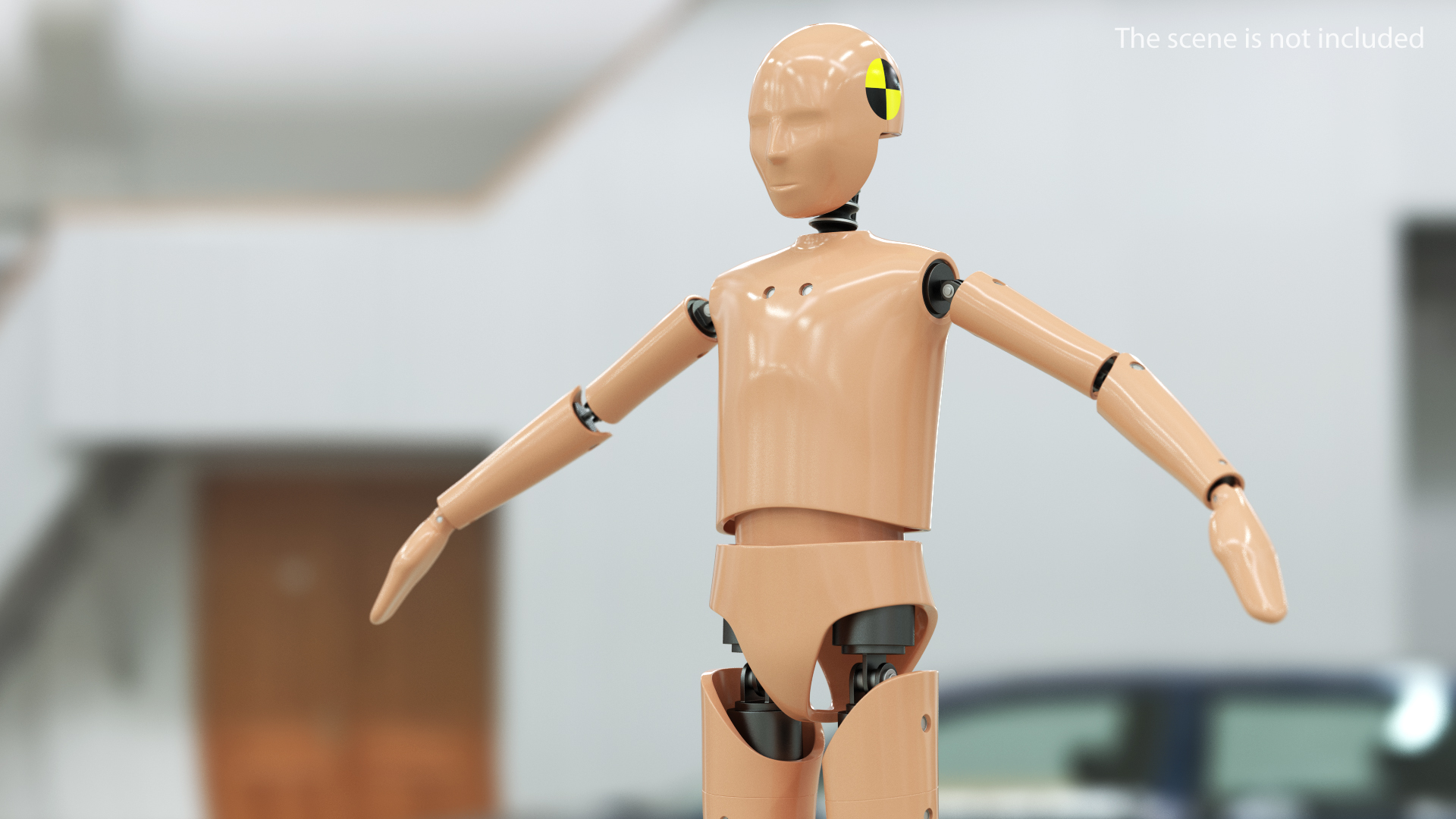 3D model Teenager Crash Test Dummy