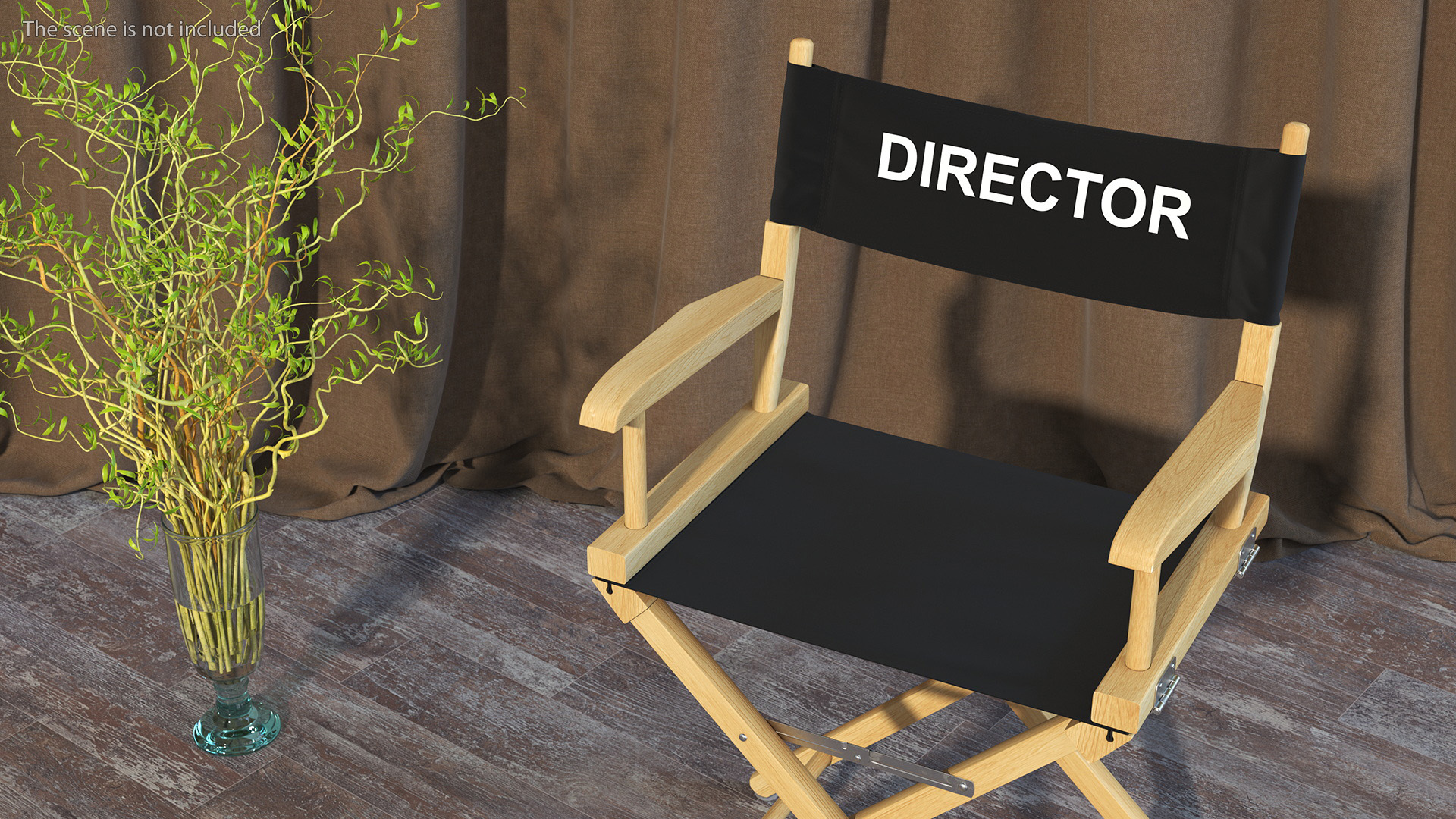3D Premium Directors Chair model