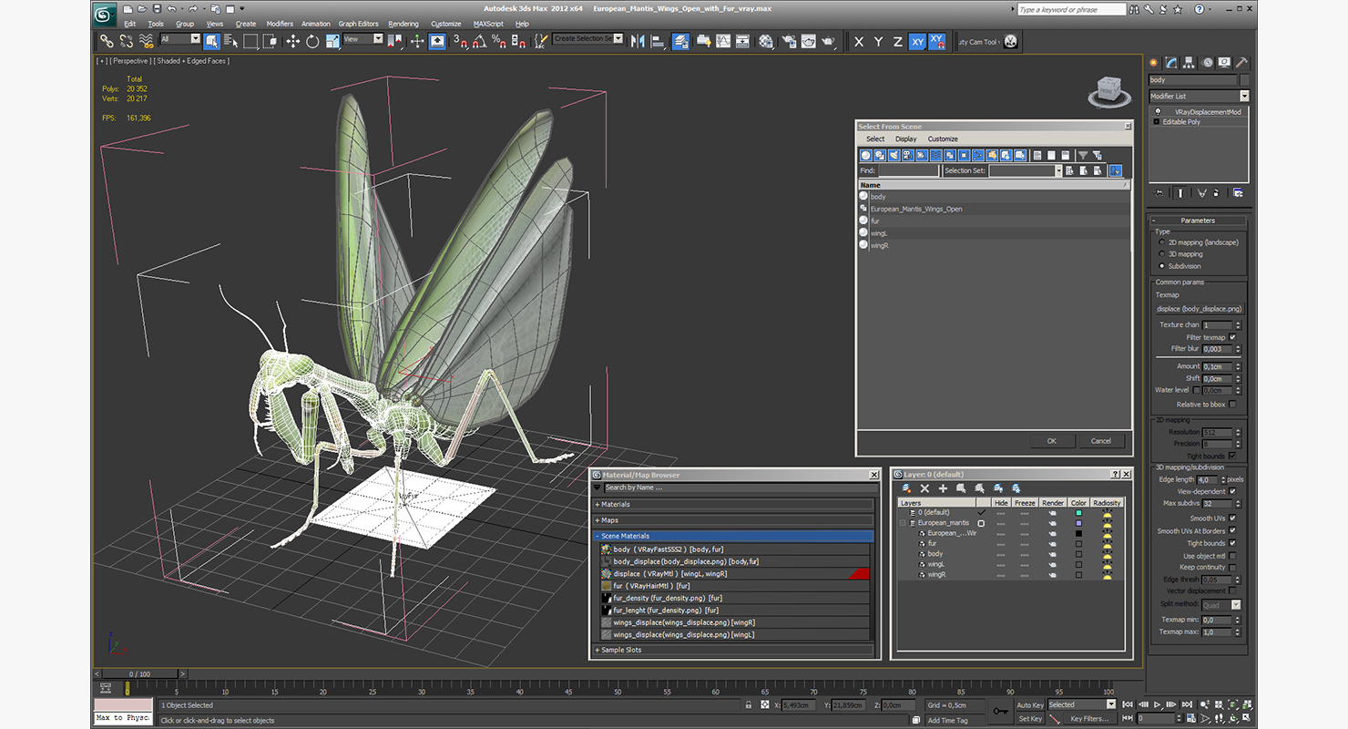 3D model European Mantis Wings Open with Fur