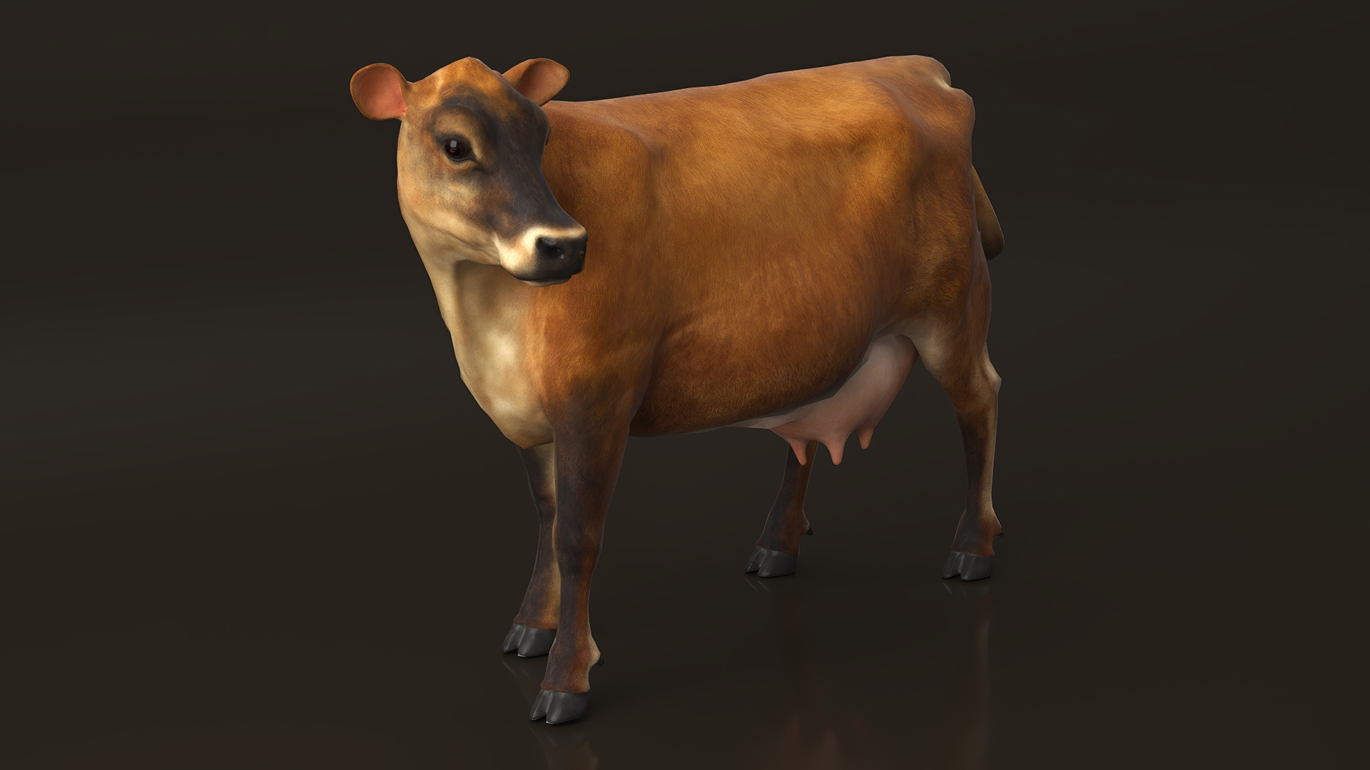 Channel Island Cow Brown 3D model