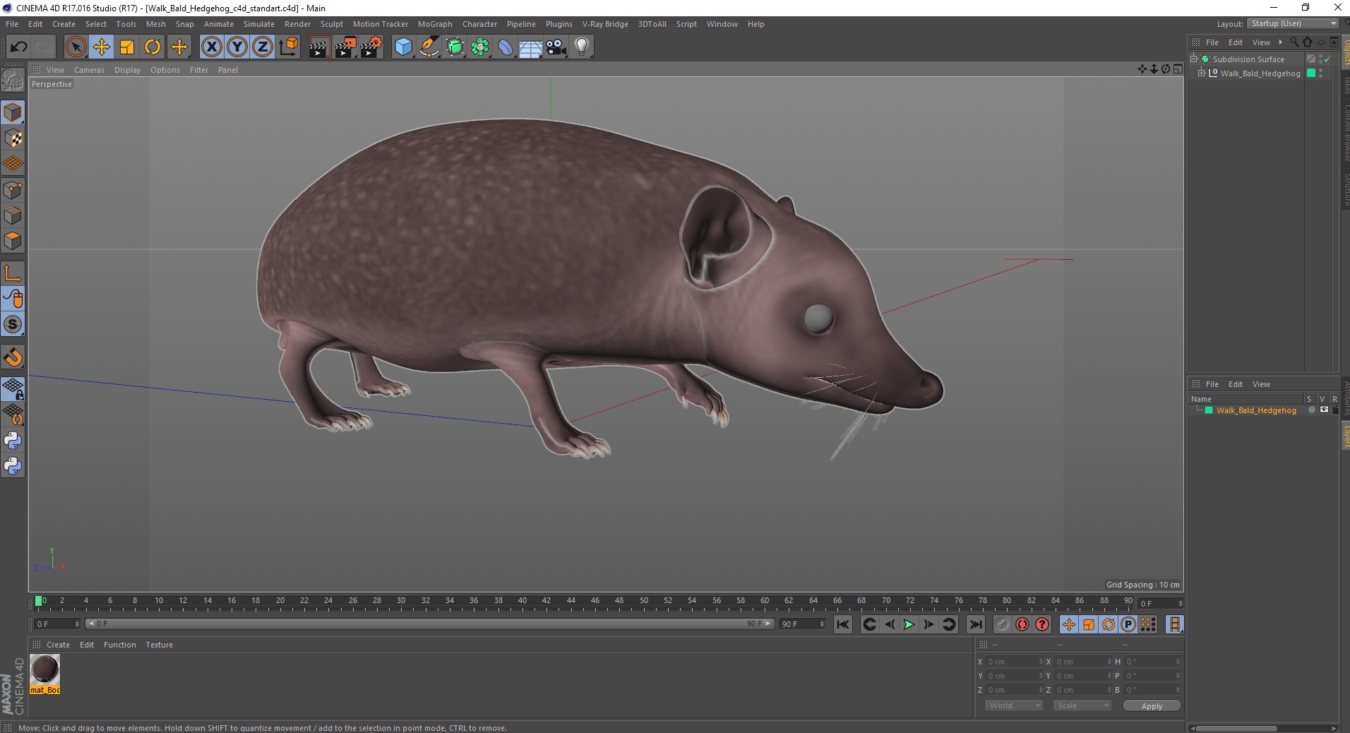 3D Walk Bald Hedgehog model
