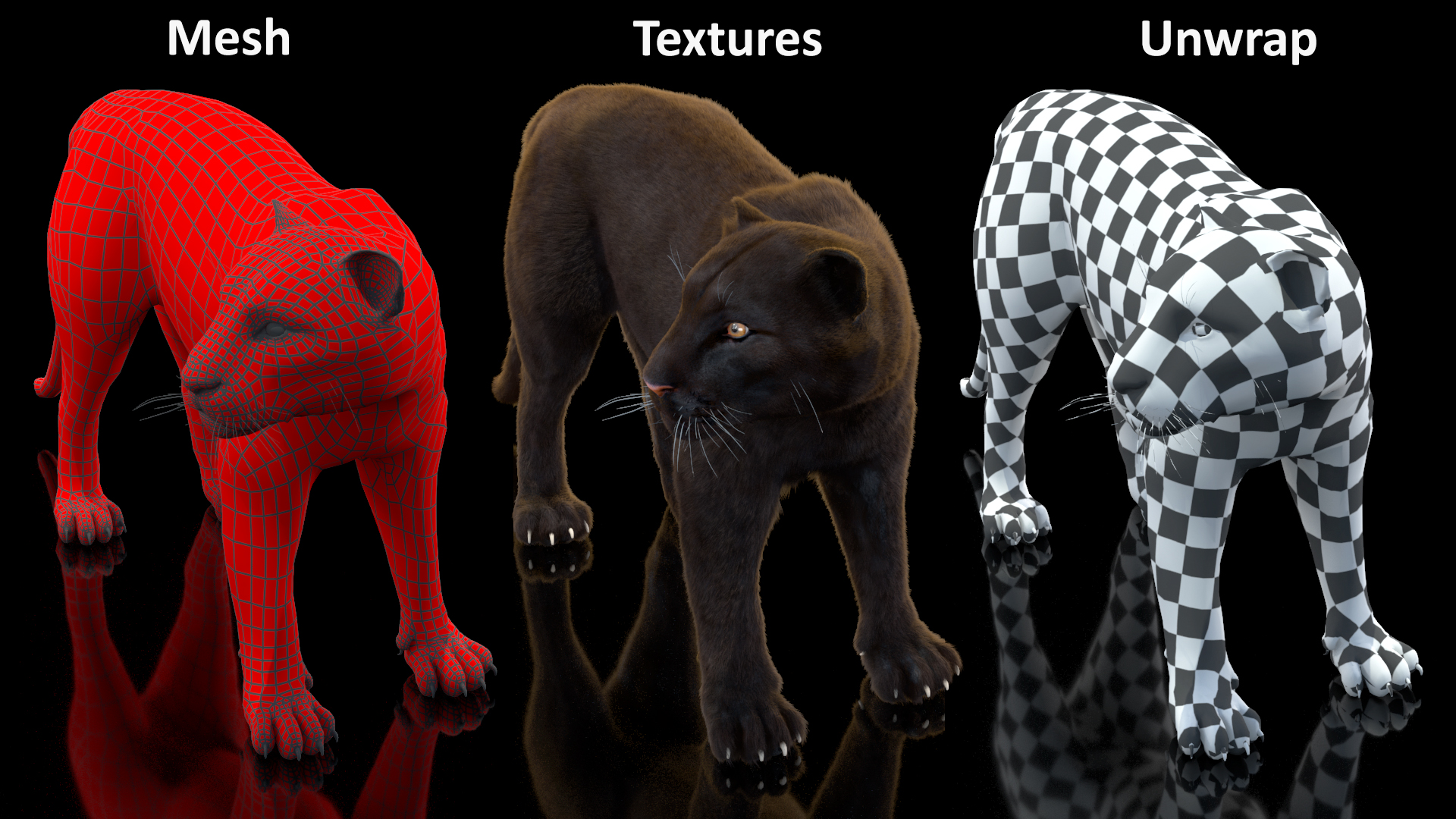 3D Black Panther Stand Pose Fur model