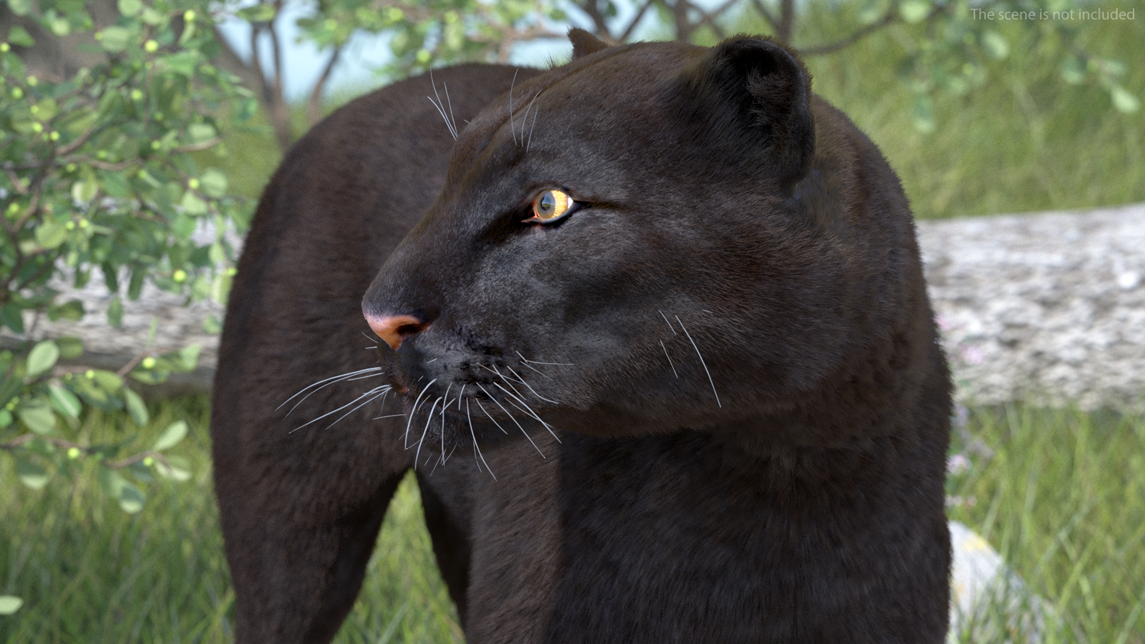 3D Black Panther Stand Pose Fur model