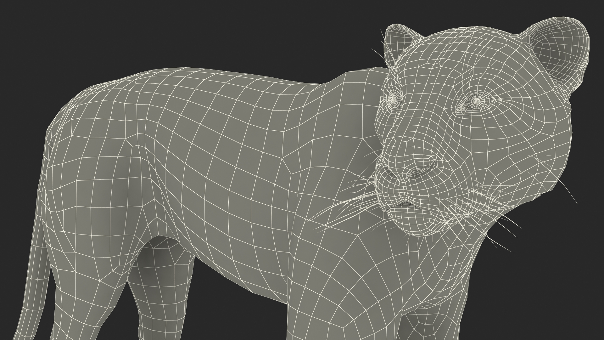 3D Black Panther Stand Pose Fur model