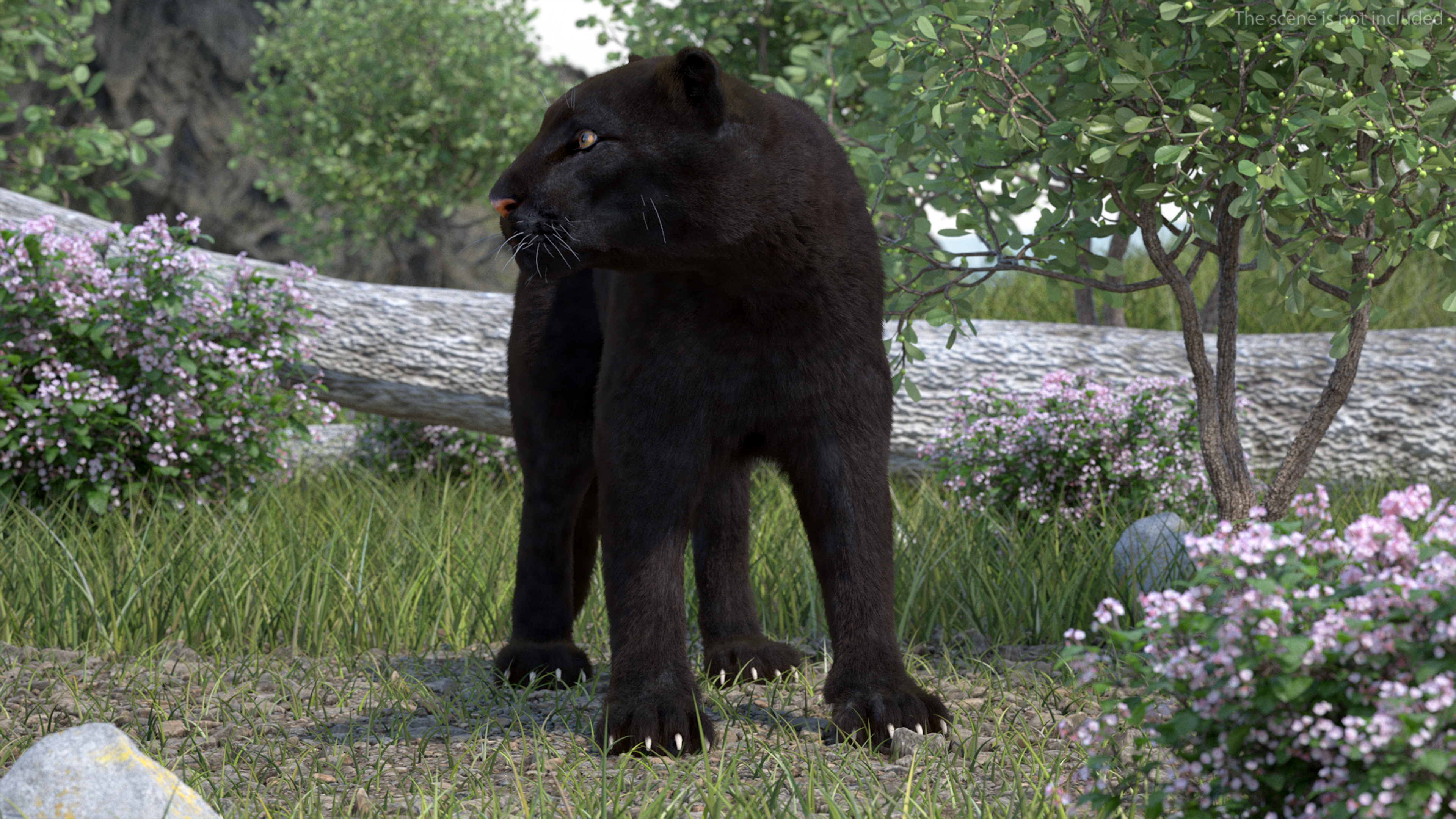 3D Black Panther Stand Pose Fur model