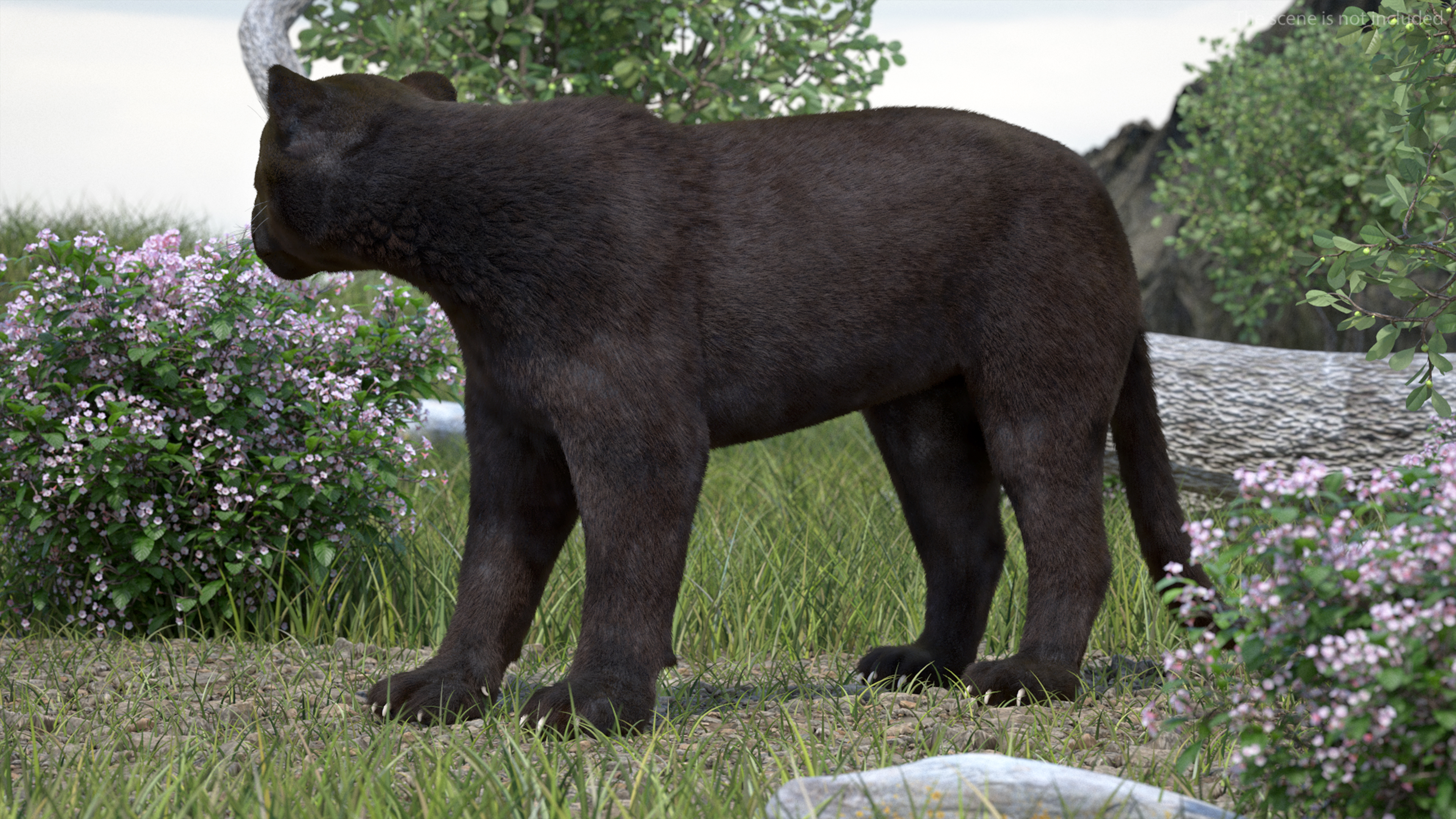 3D Black Panther Stand Pose Fur model