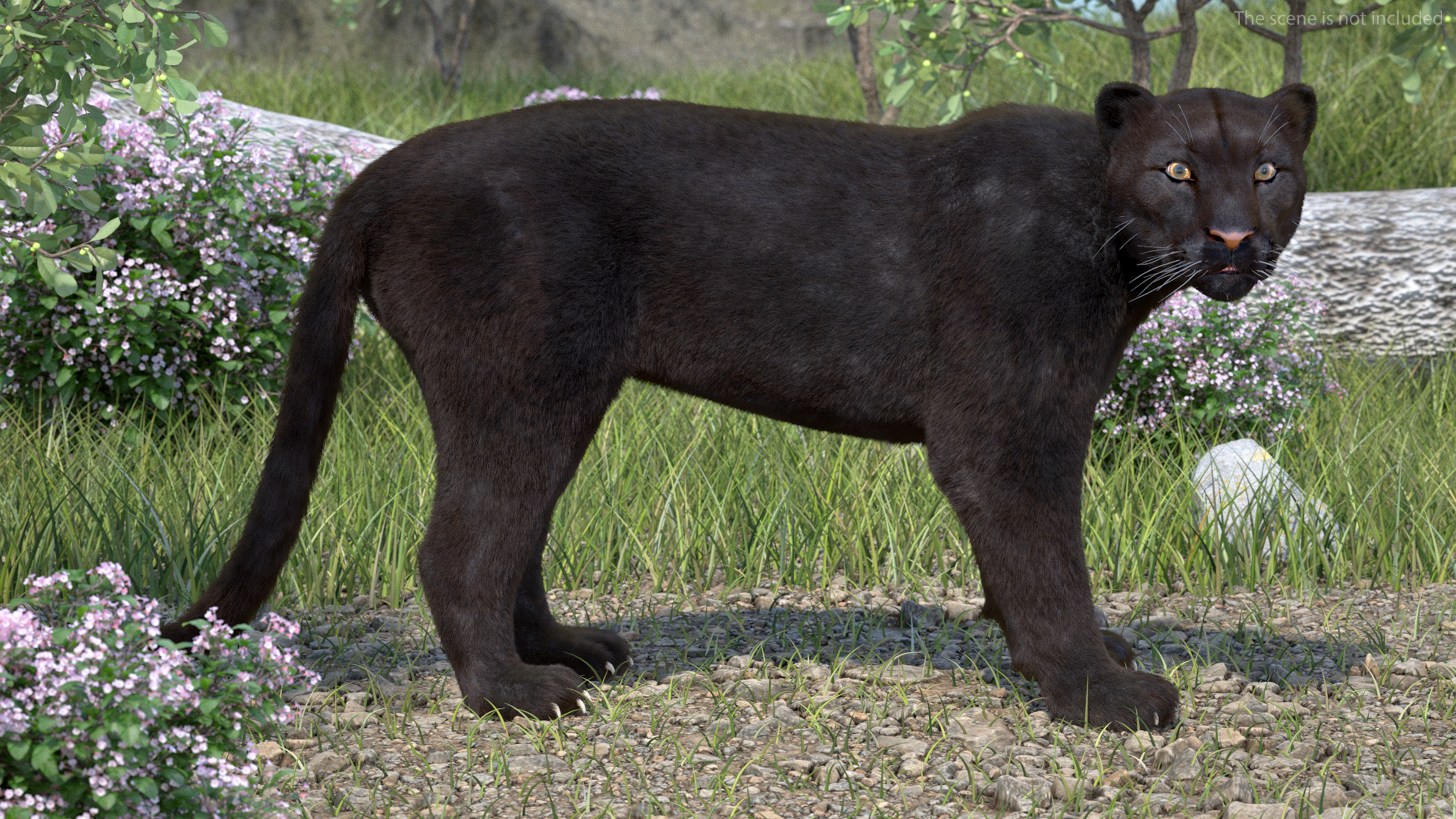 3D Black Panther Stand Pose Fur model