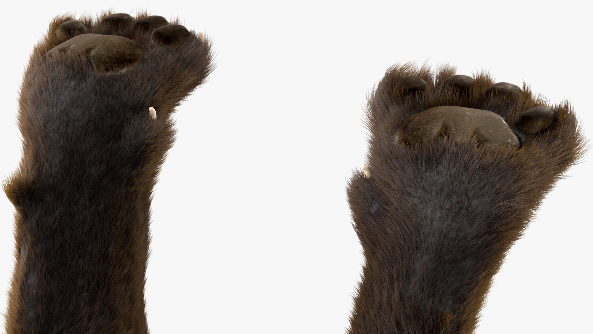 3D Black Panther Stand Pose Fur model