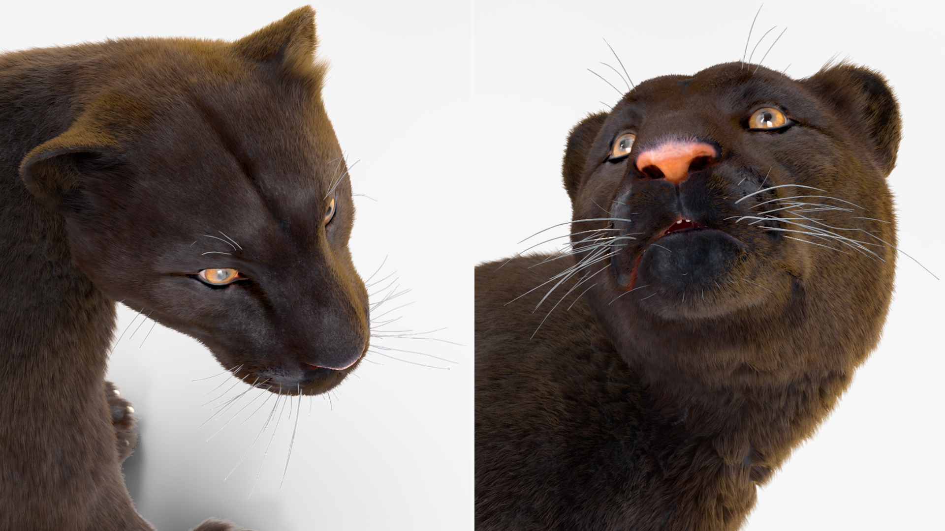 3D Black Panther Stand Pose Fur model