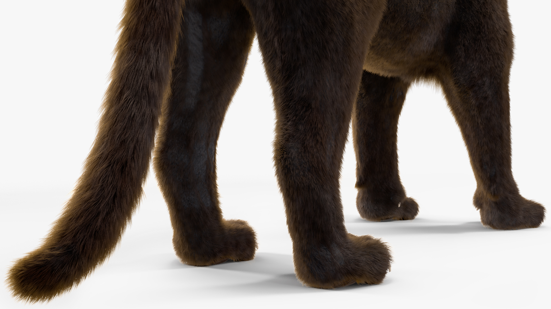3D Black Panther Stand Pose Fur model