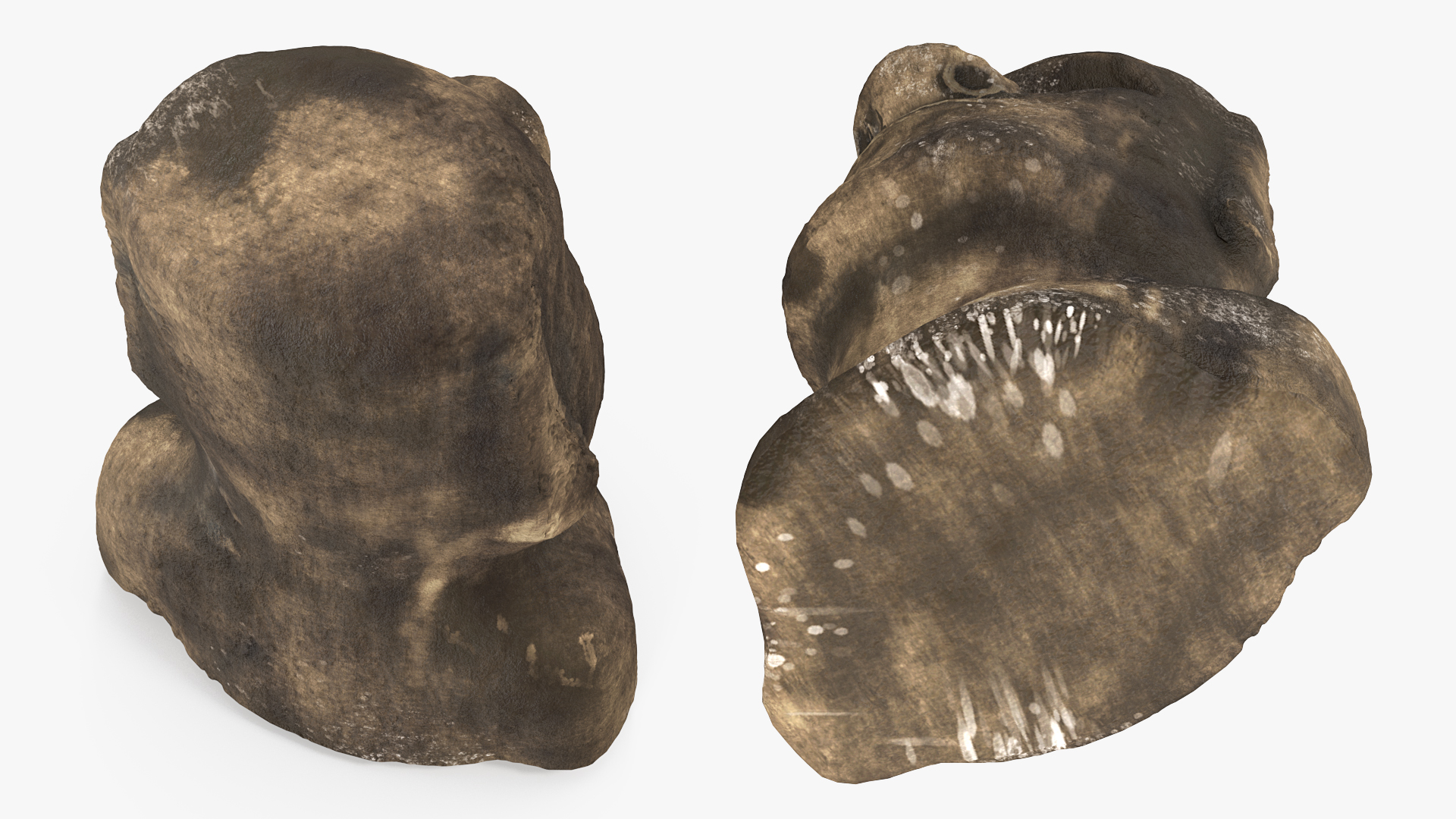 Ahu Akivi Moai 3D model