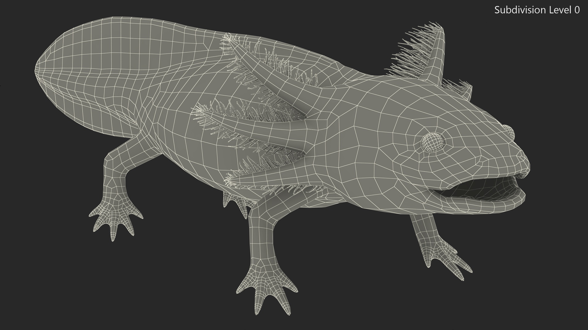3D model Gold Albino Axolotl Rigged for Maya