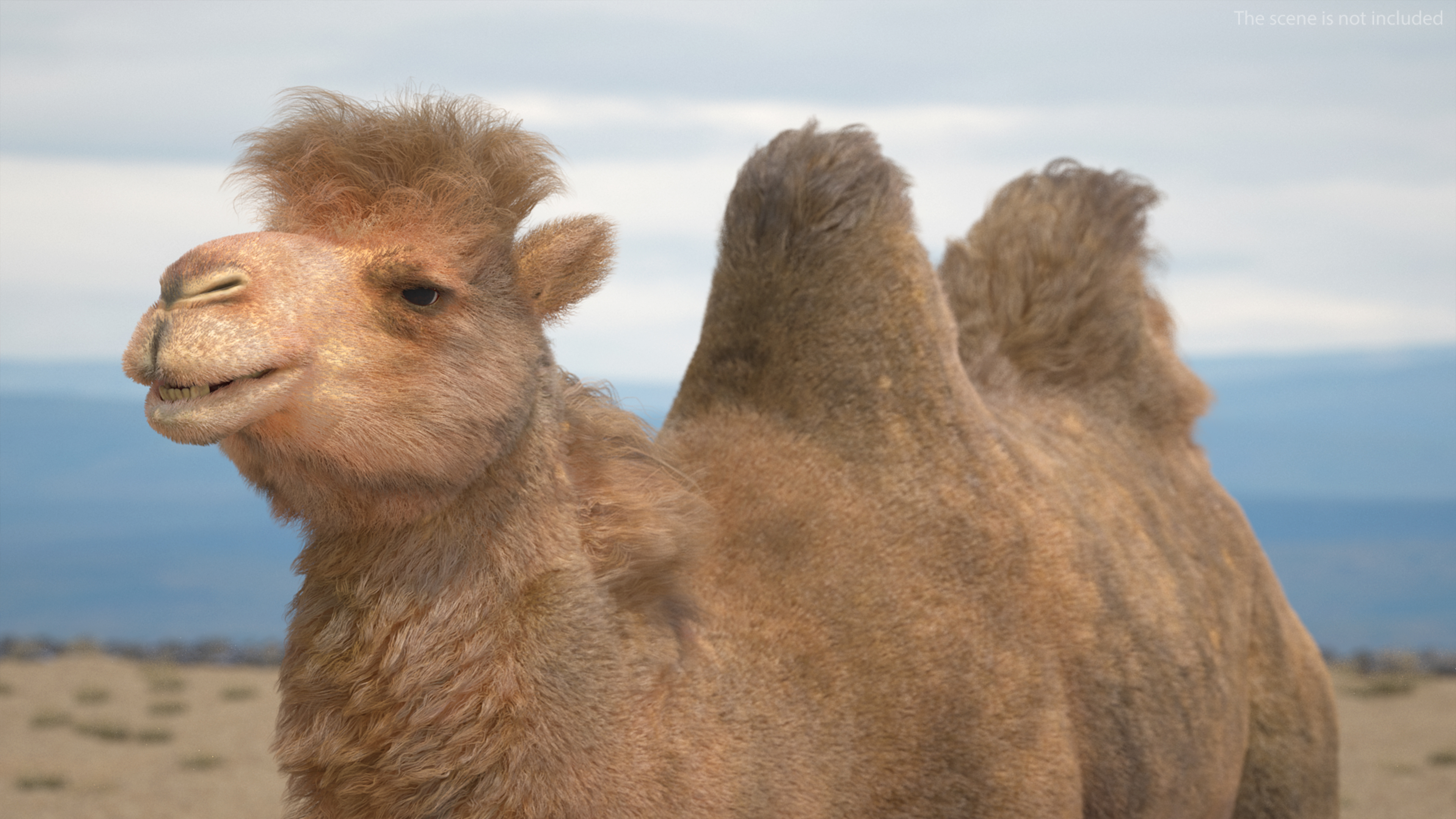 3D Bactrian Camel Fur model