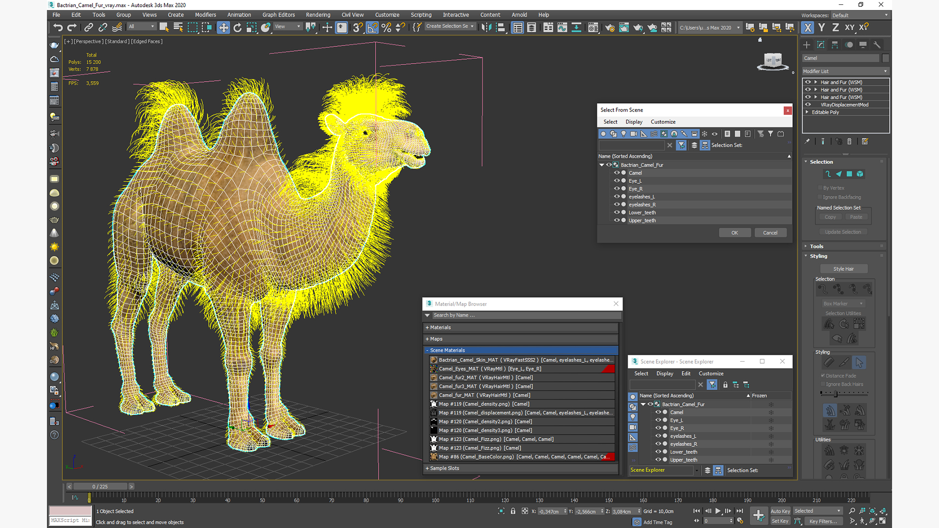 3D Bactrian Camel Fur model