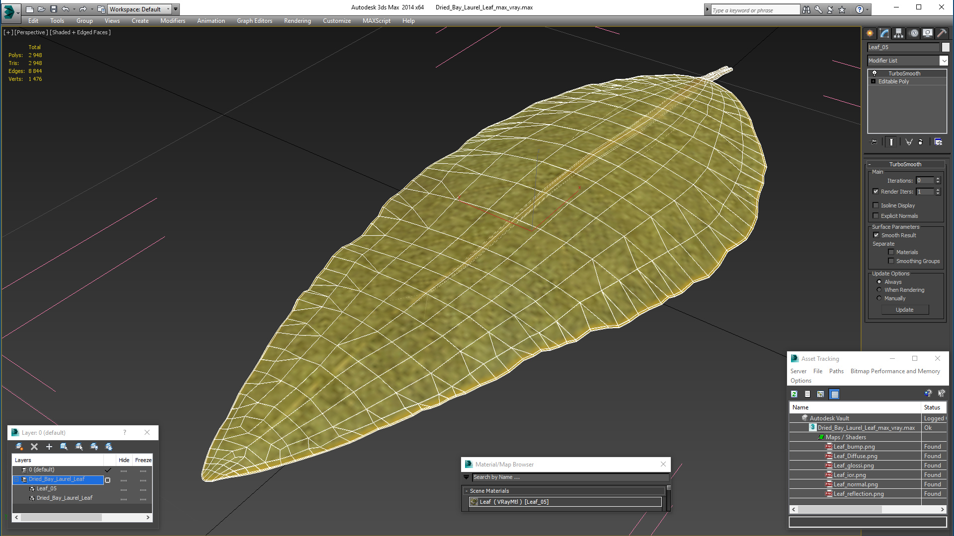 3D Dried Bay Laurel Leaf